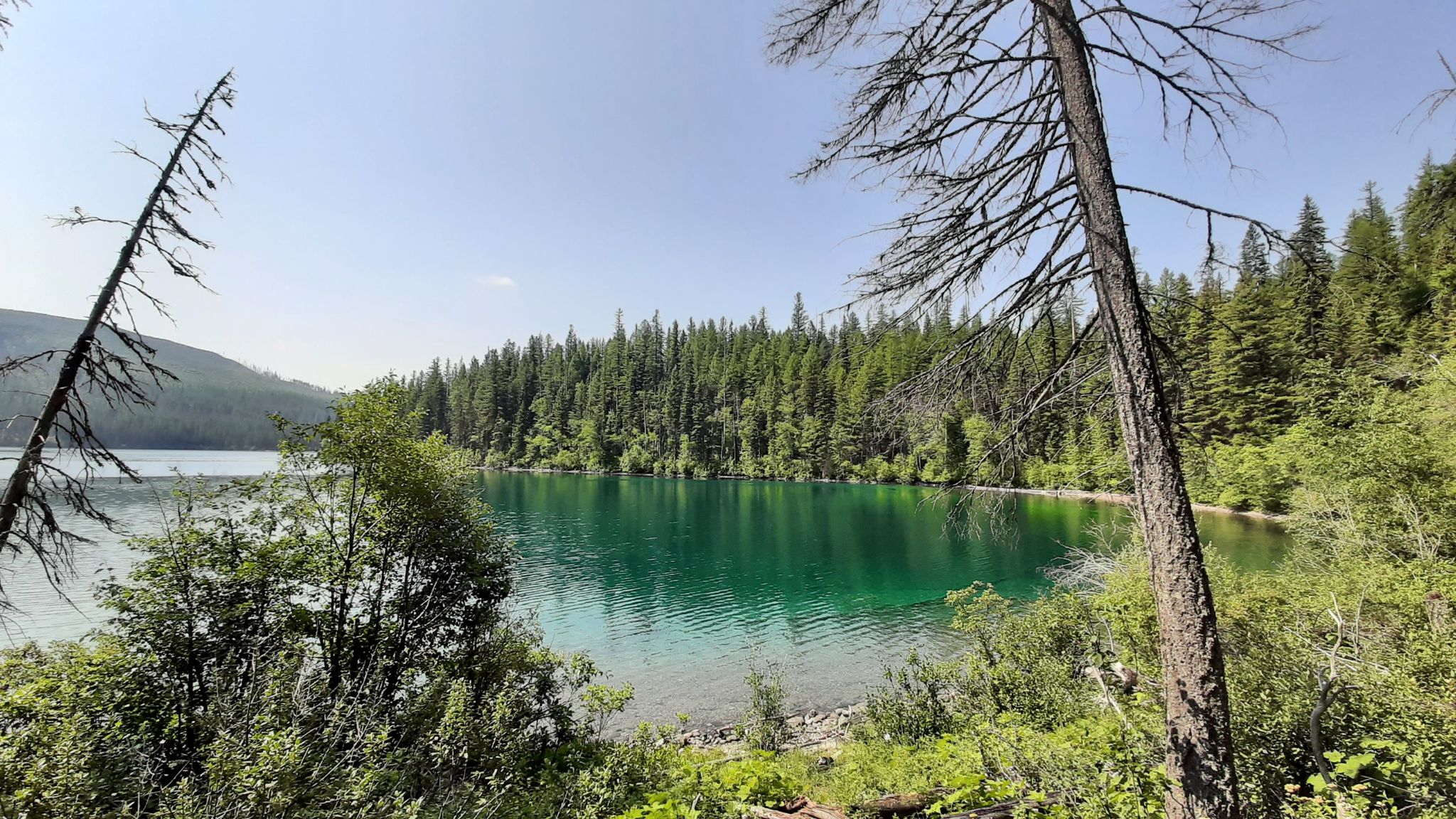 Bright green lake surrounded by dense forest under a clear sky. - Kintla Lake Head