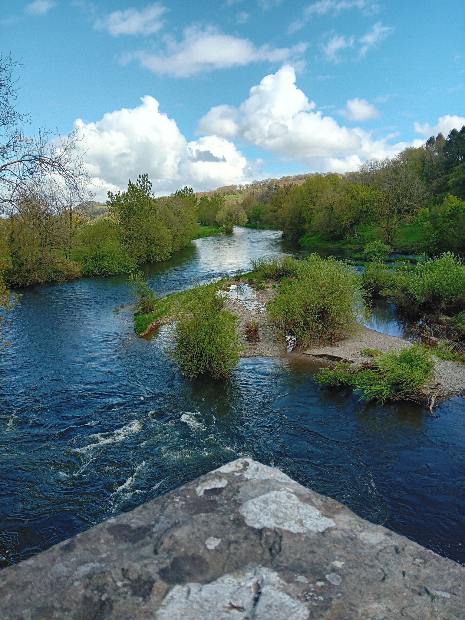 Afon Tywi - Nantgaredig