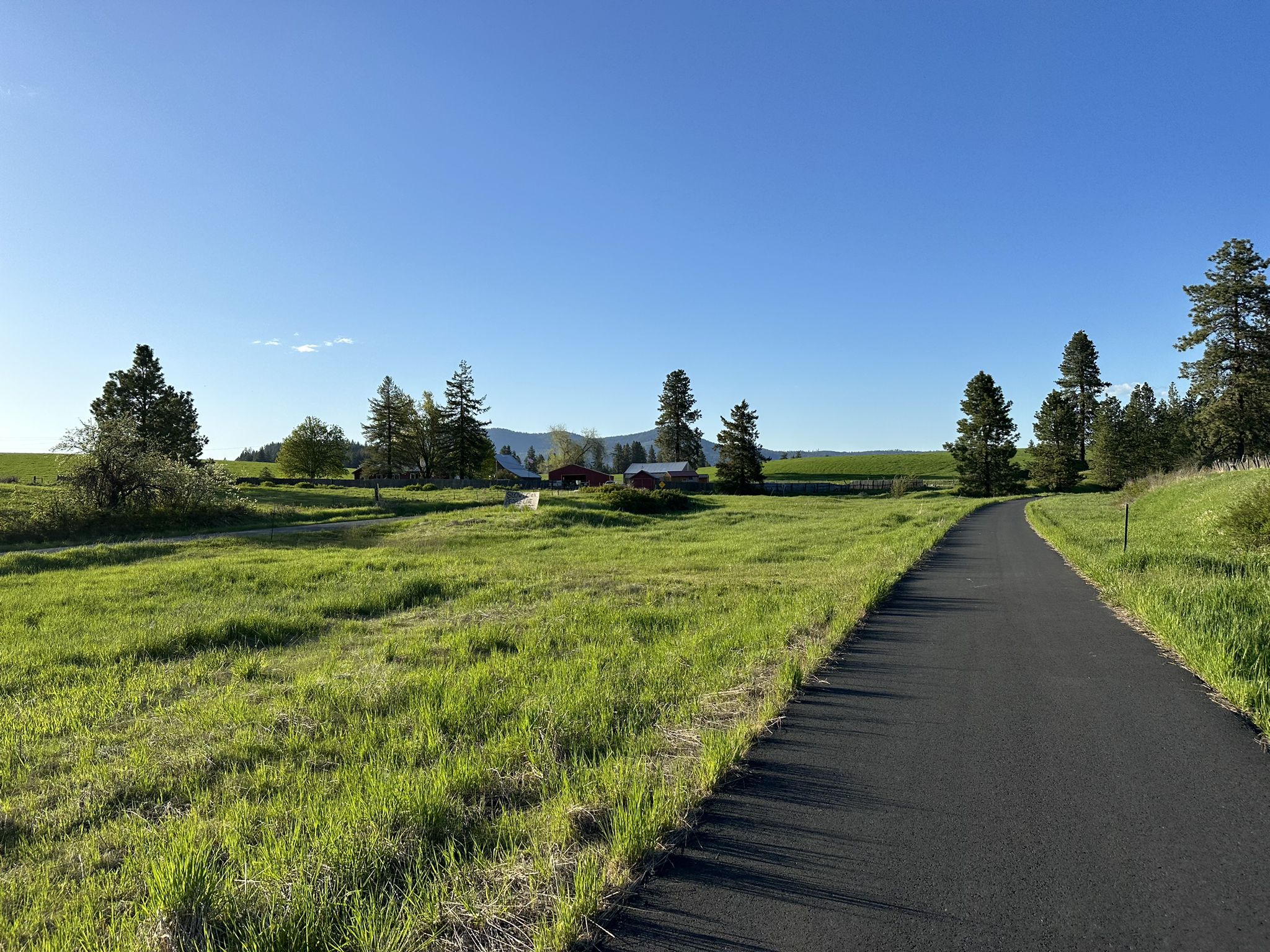 Paved path through vibrant green fields with distant trees under a clear sky. - Moscow, Idaho – Paradise Path loop from Moscow