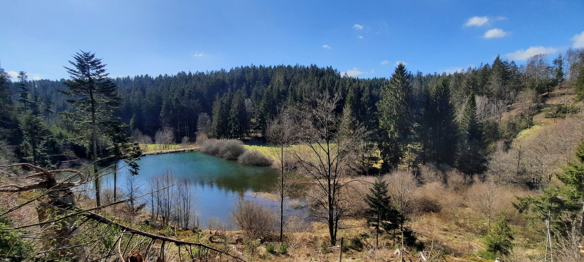 Der Floßteich 