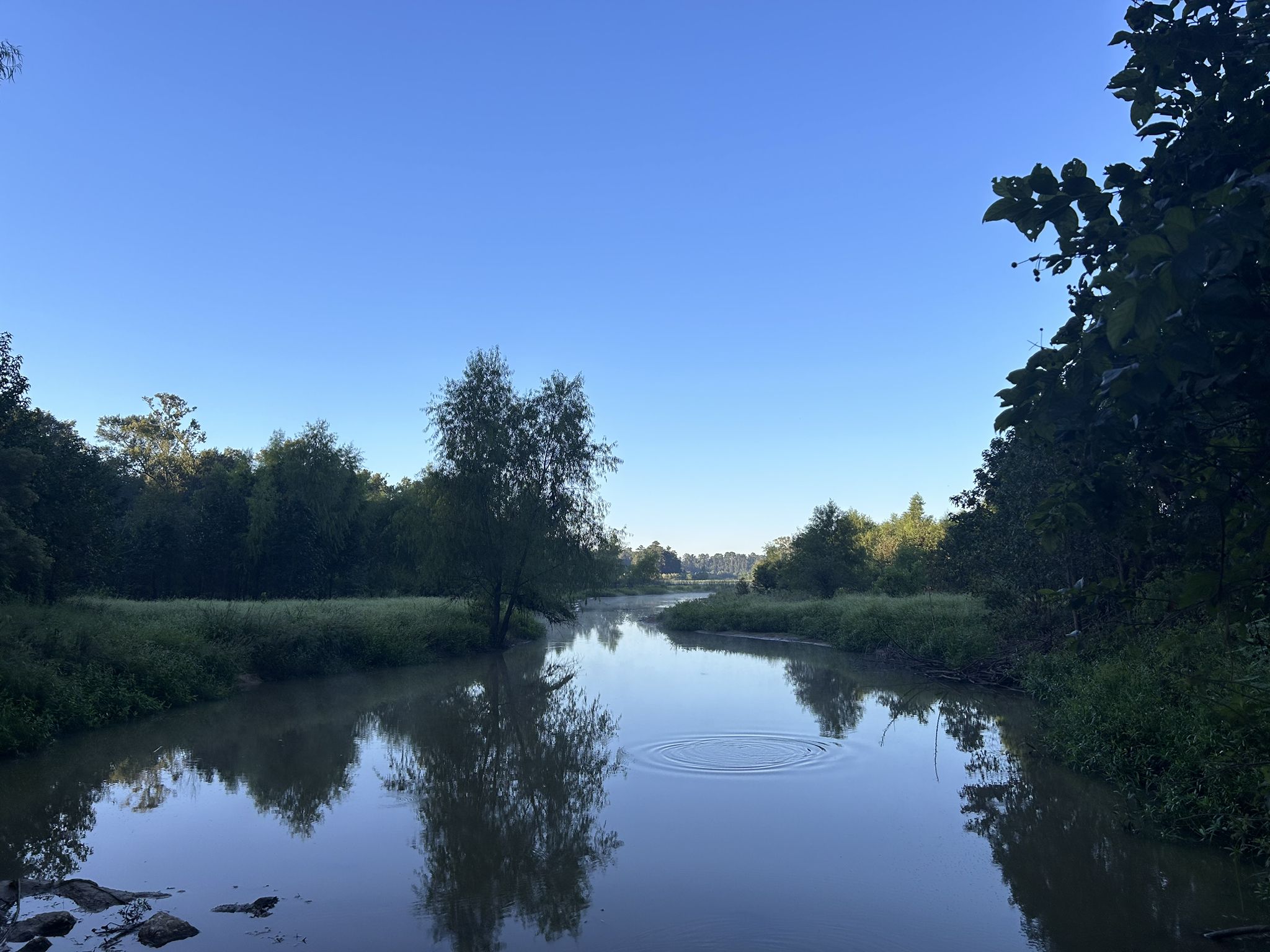 A calm river winding through dense green forest under a clear blue sky. - Creekside West Loop