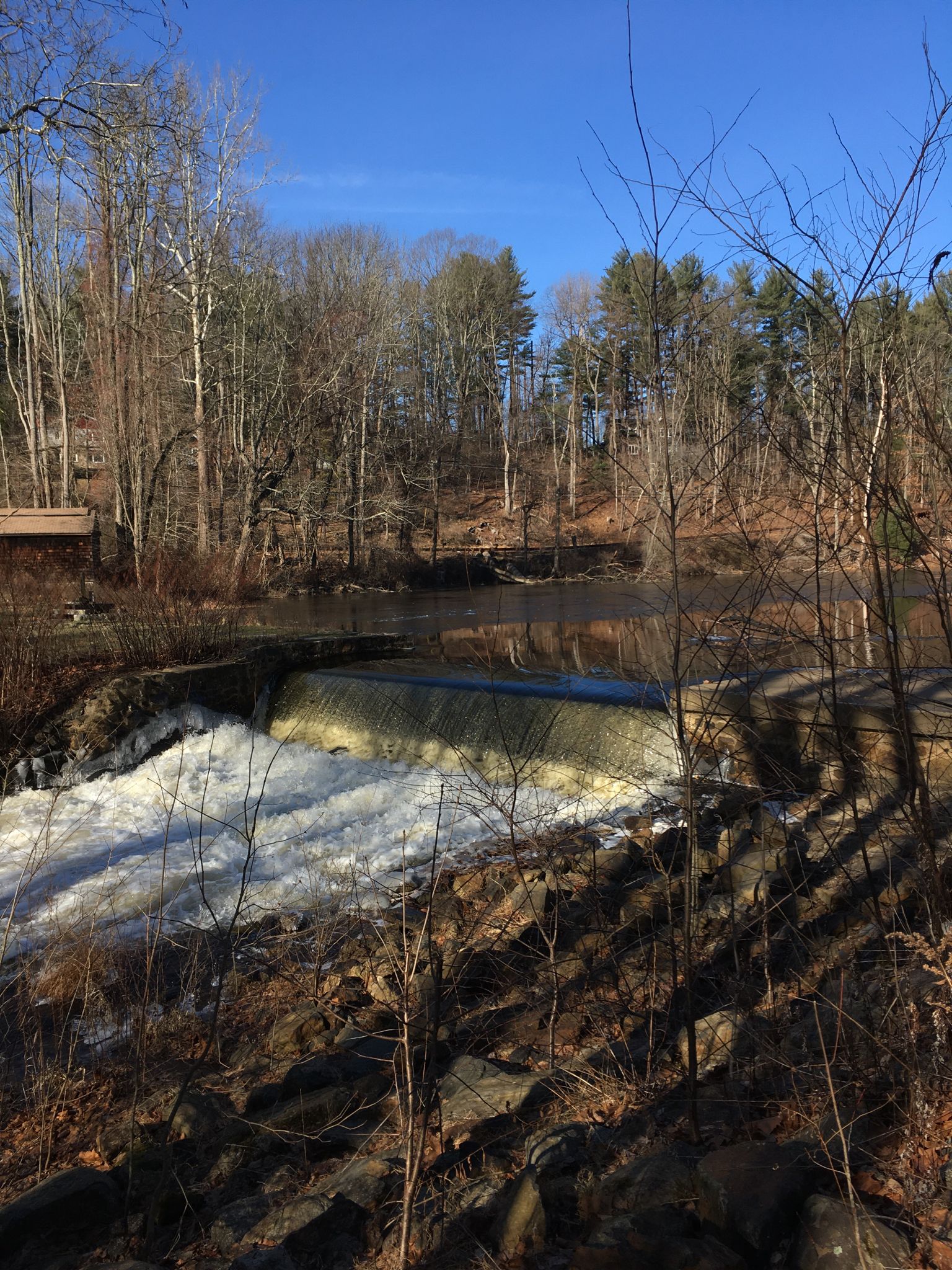 Sunny river flowing over a small dam, surrounded by bare winter trees. - Black River Trail Loop
