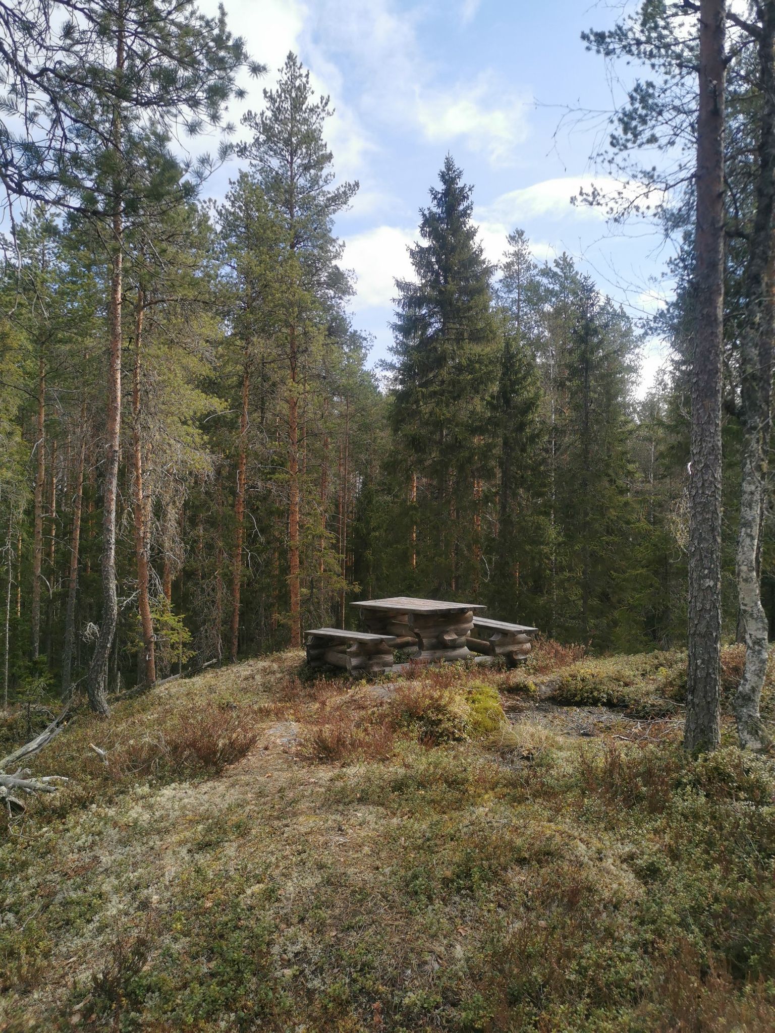 Nice picnic spot