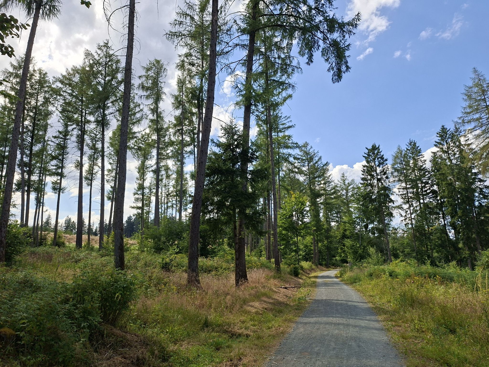 Glaskopf-Rundweg