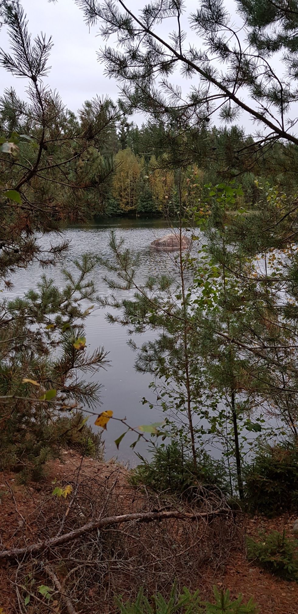 eine Überraschung im Wald: Zwei nicht kartegorisierte Seen 