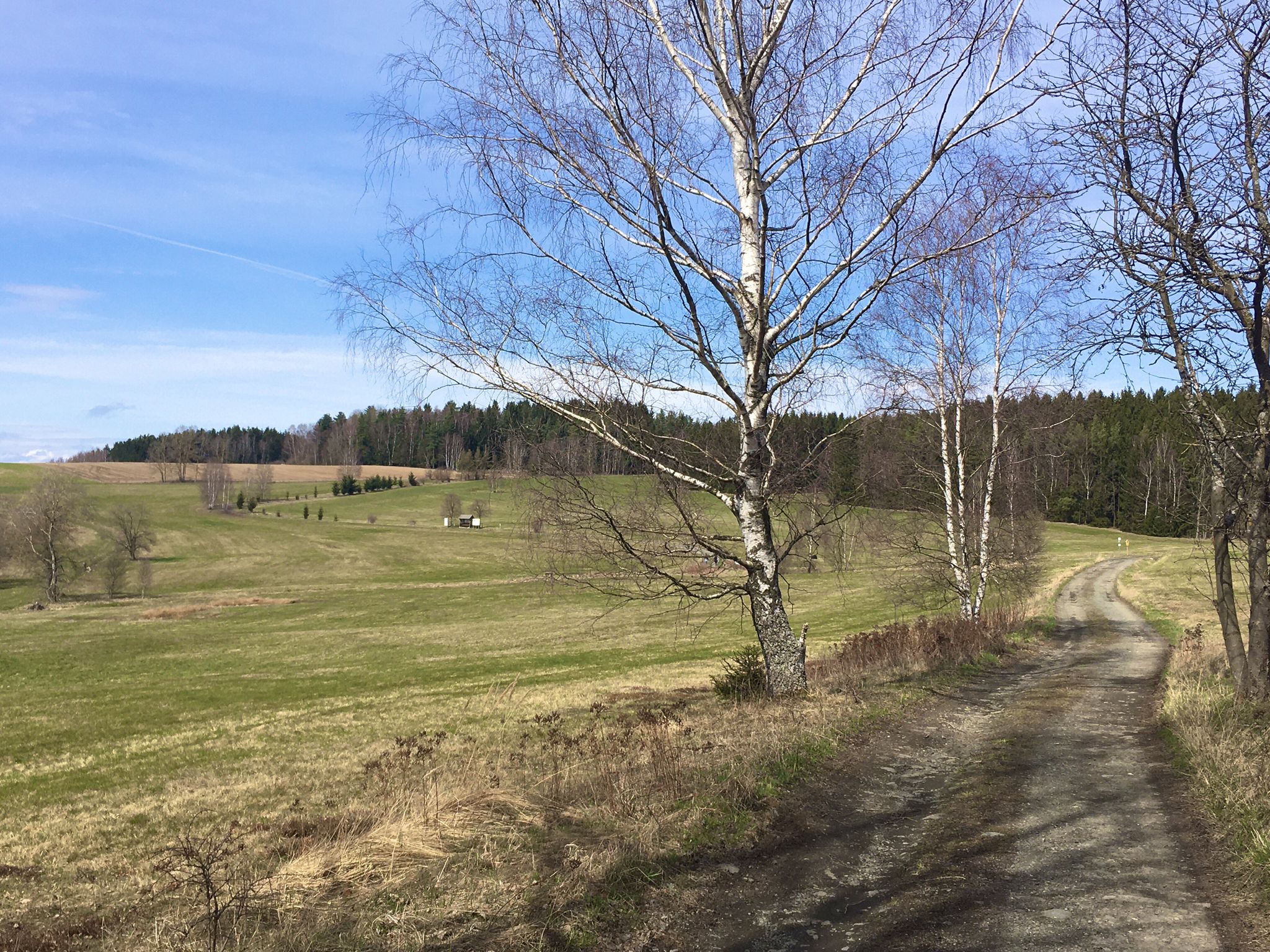 Ehemaliger Grenzstreifen