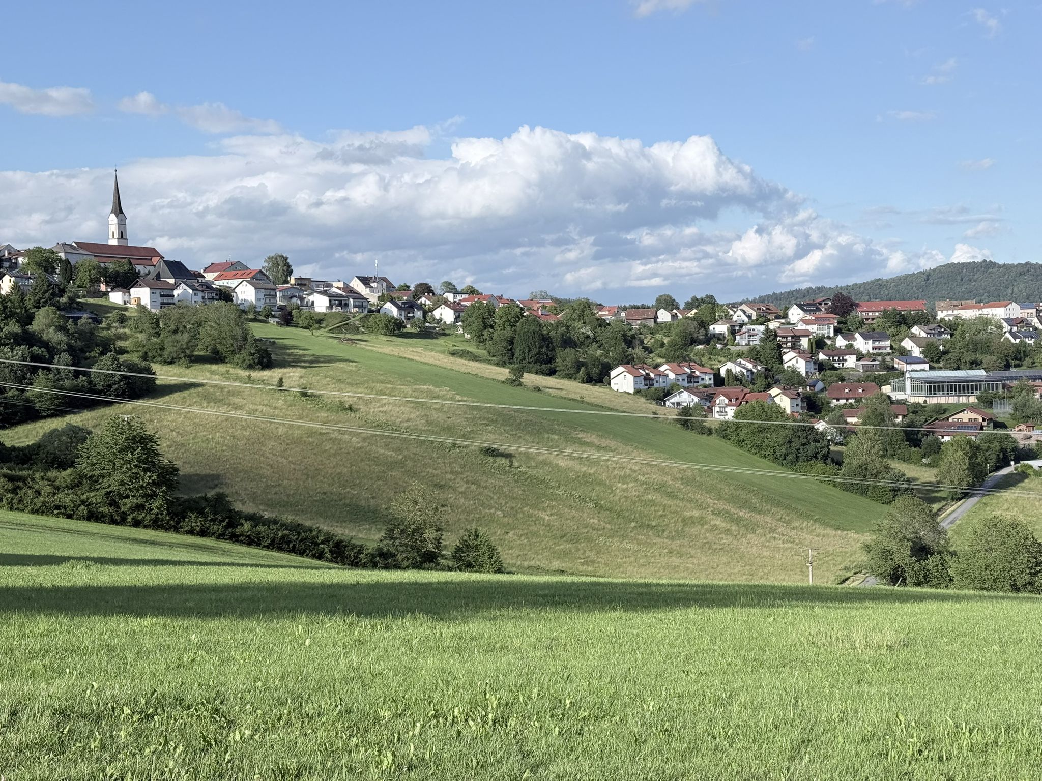Blick auf Schönberg