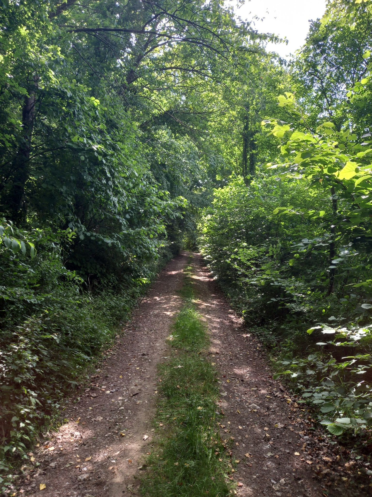 Chemin en très bon état