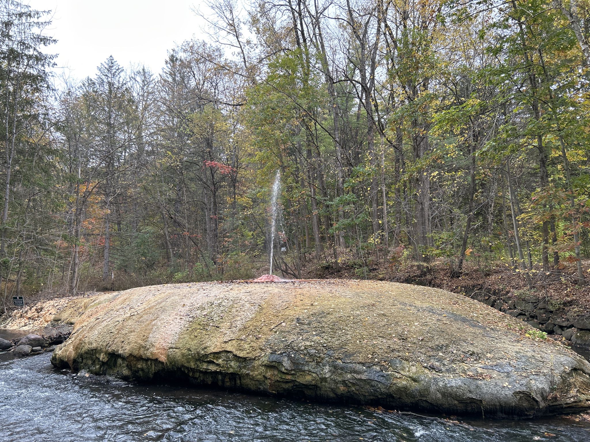 Geyser erupting from a large, flat rock formation in a wooded river. - Five Mile Trail