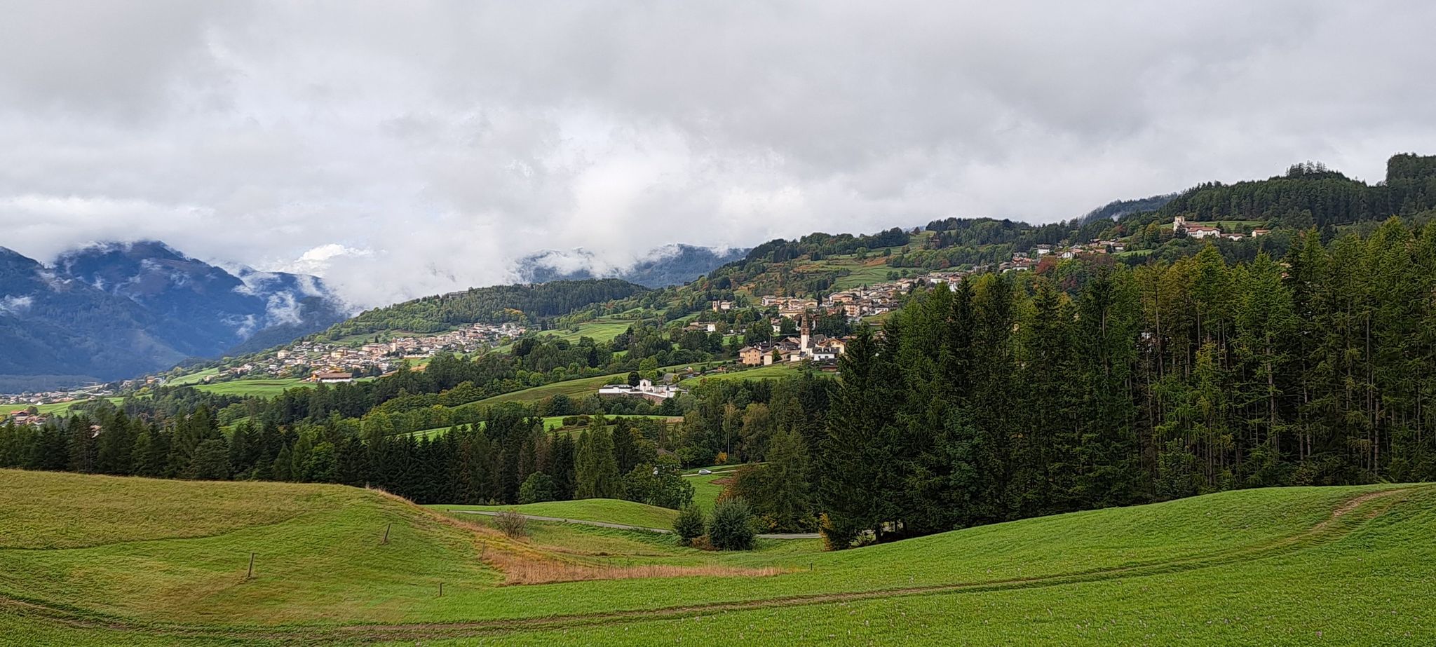 meadows below