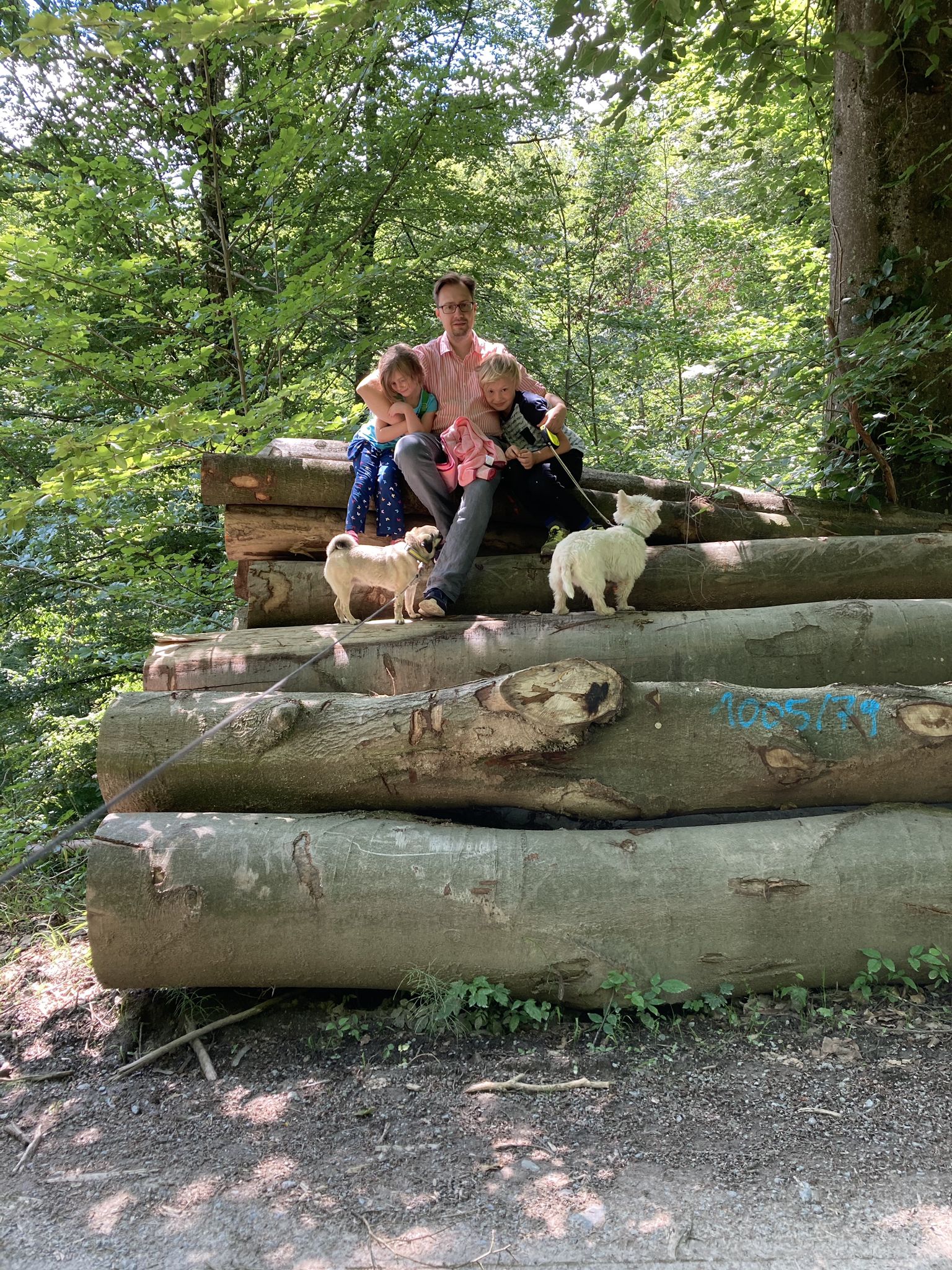 Hohler Stein – Steinernes Sofa Runde von Löwenstein | Wanderung