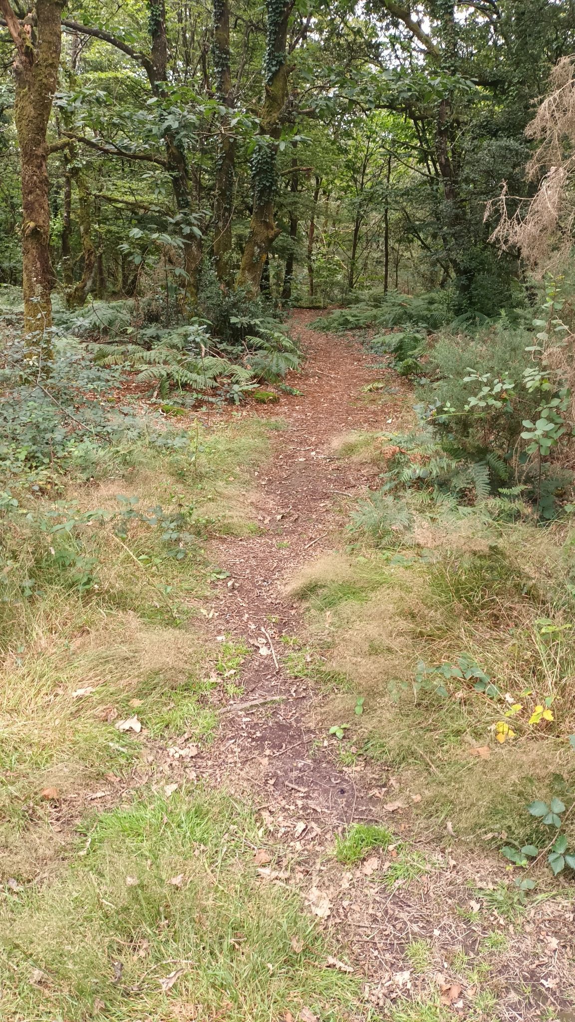 photo5