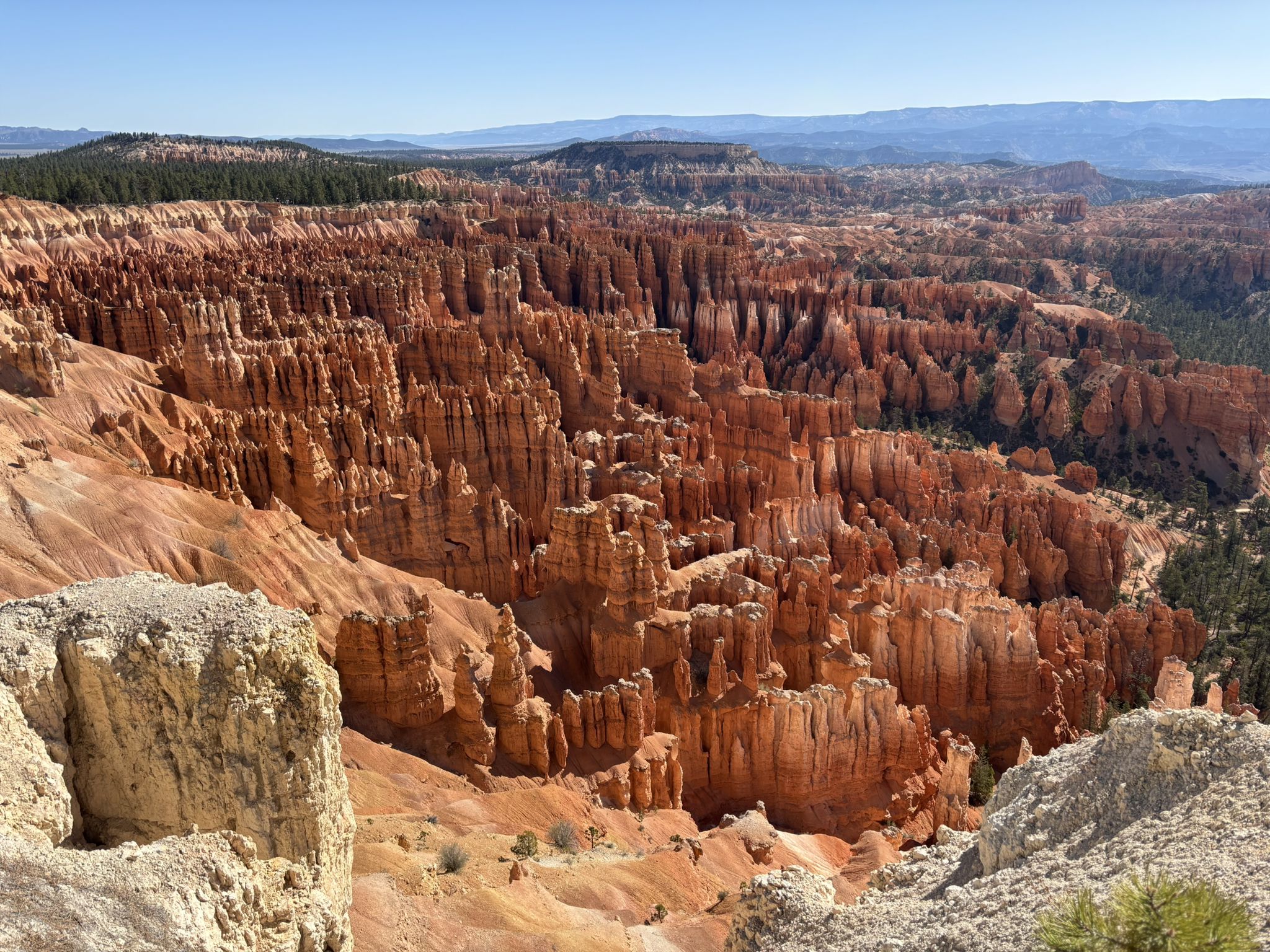 Expansive canyon filled with vibrant orange and red rock formations under a clear sky. - Lower Inspiration Point loop from Bryce Canyon Lodge
