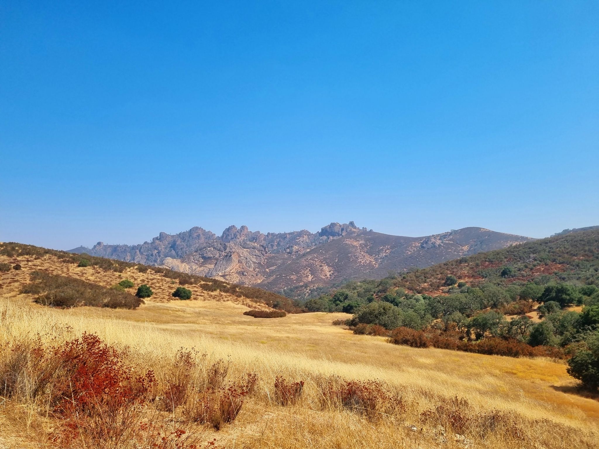 Distant rugged peaks rise above golden hills under a clear blue sky. - Prewett Point Trail