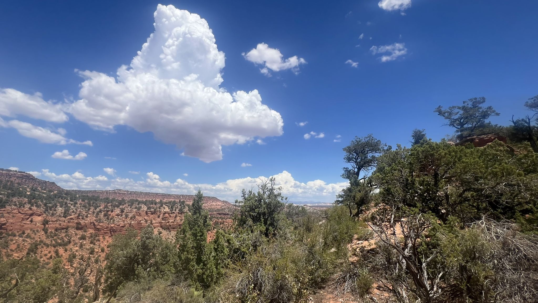 Expansive desert vista with large white clouds in a bright blue sky. - Bunting Trail