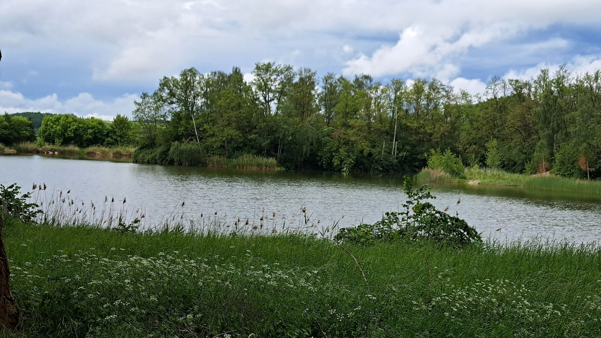 Gutenberger Teich