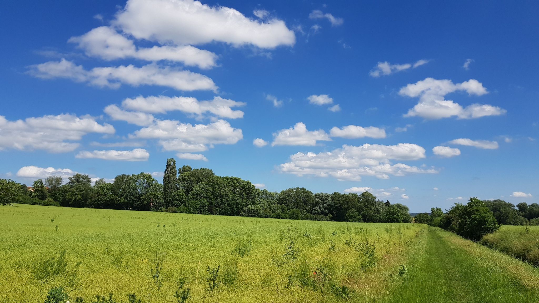 Am Asbach entlang nach Gaberndorf