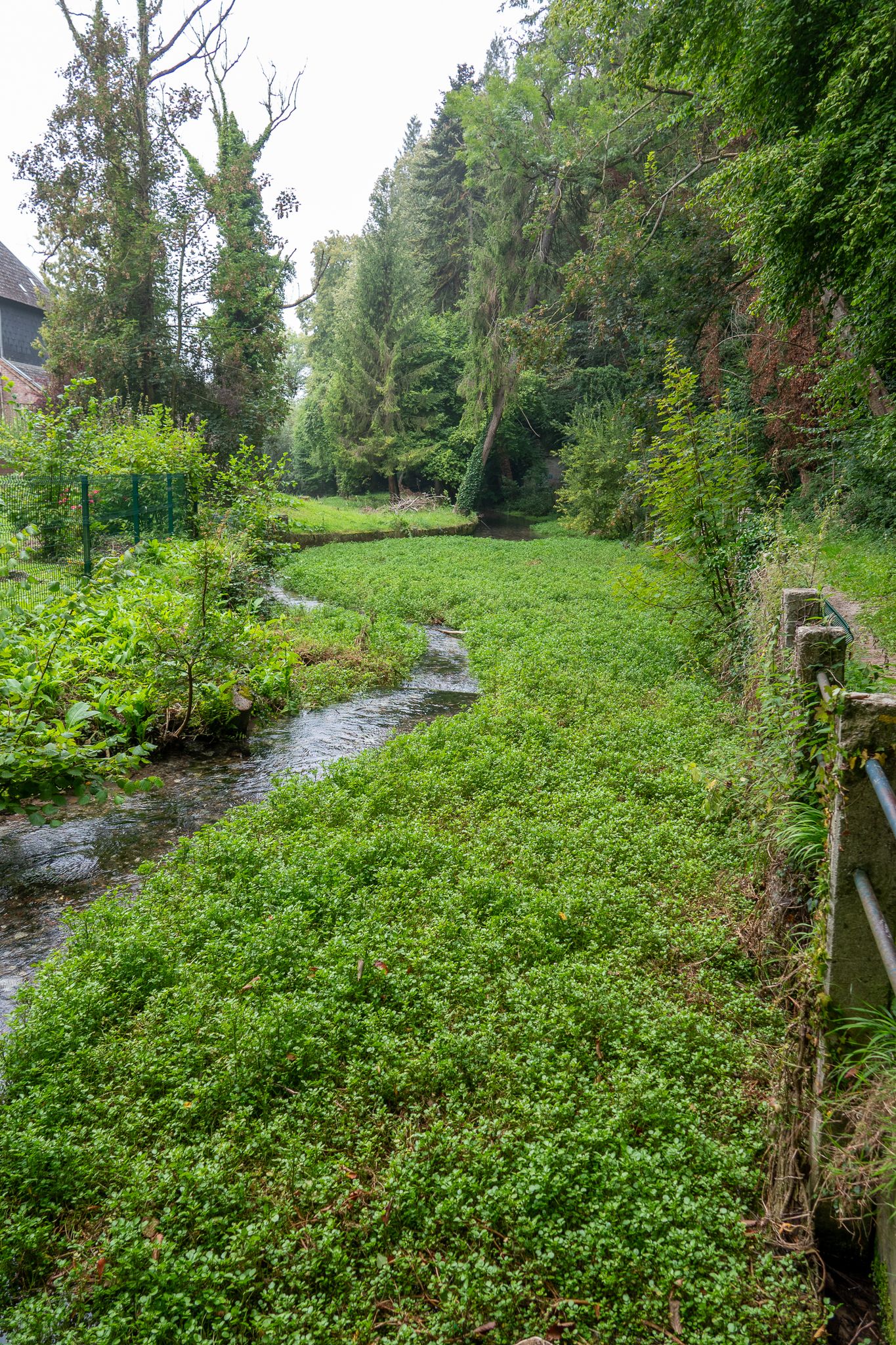 Moulin Musée Municipal Wintenberger