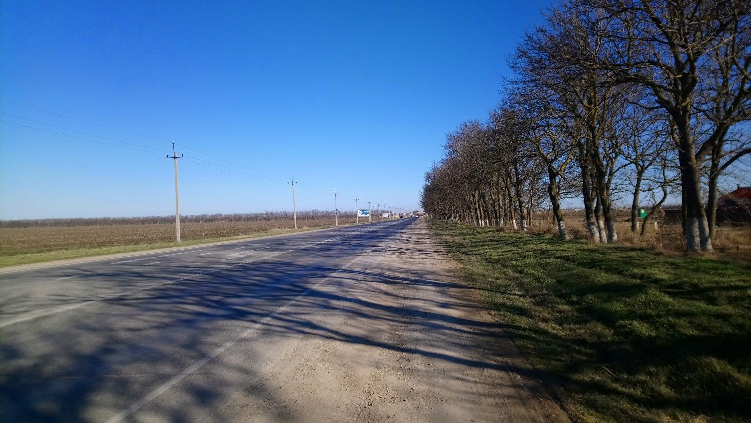 подлл