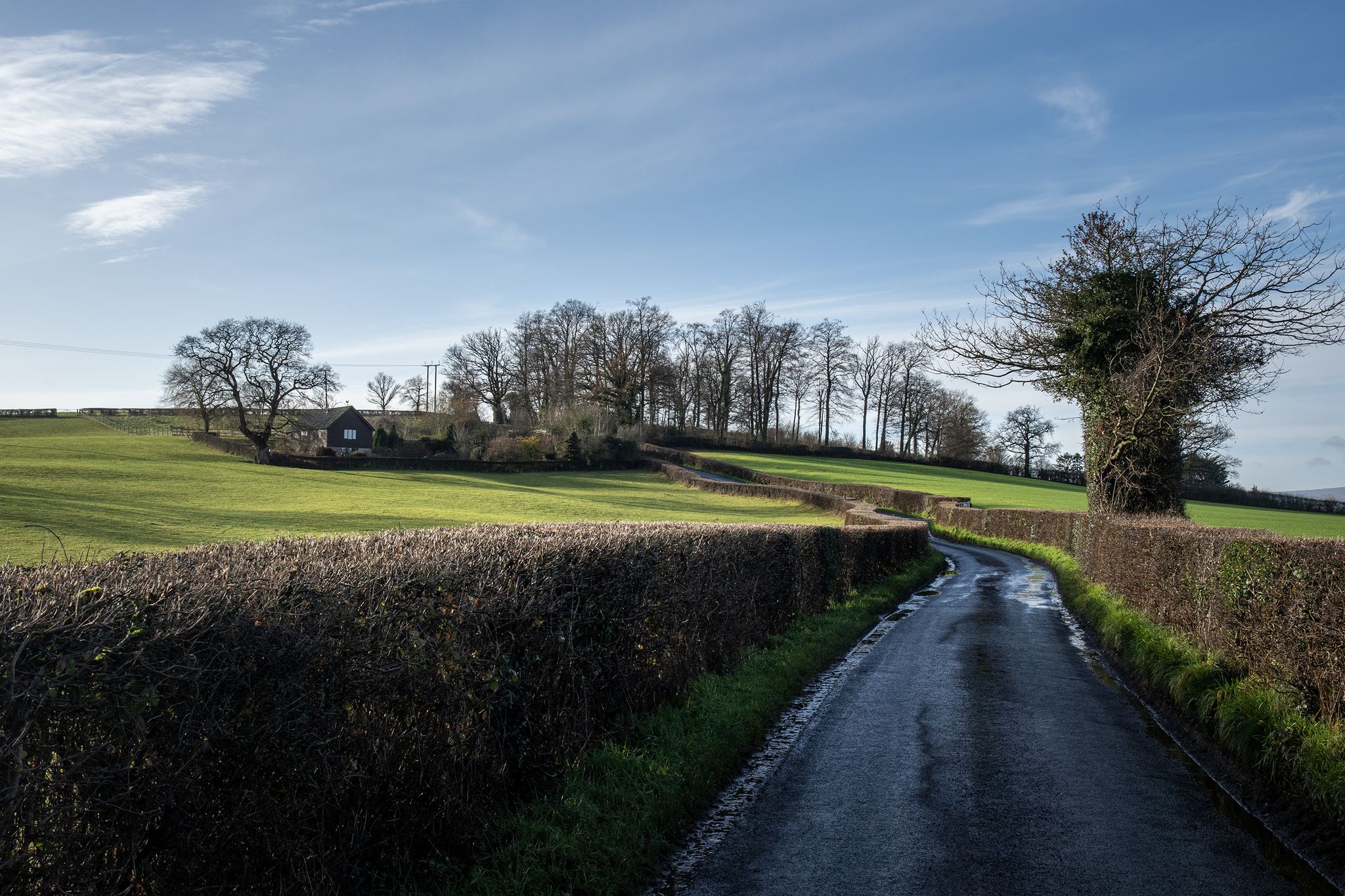Little Gwerngenny