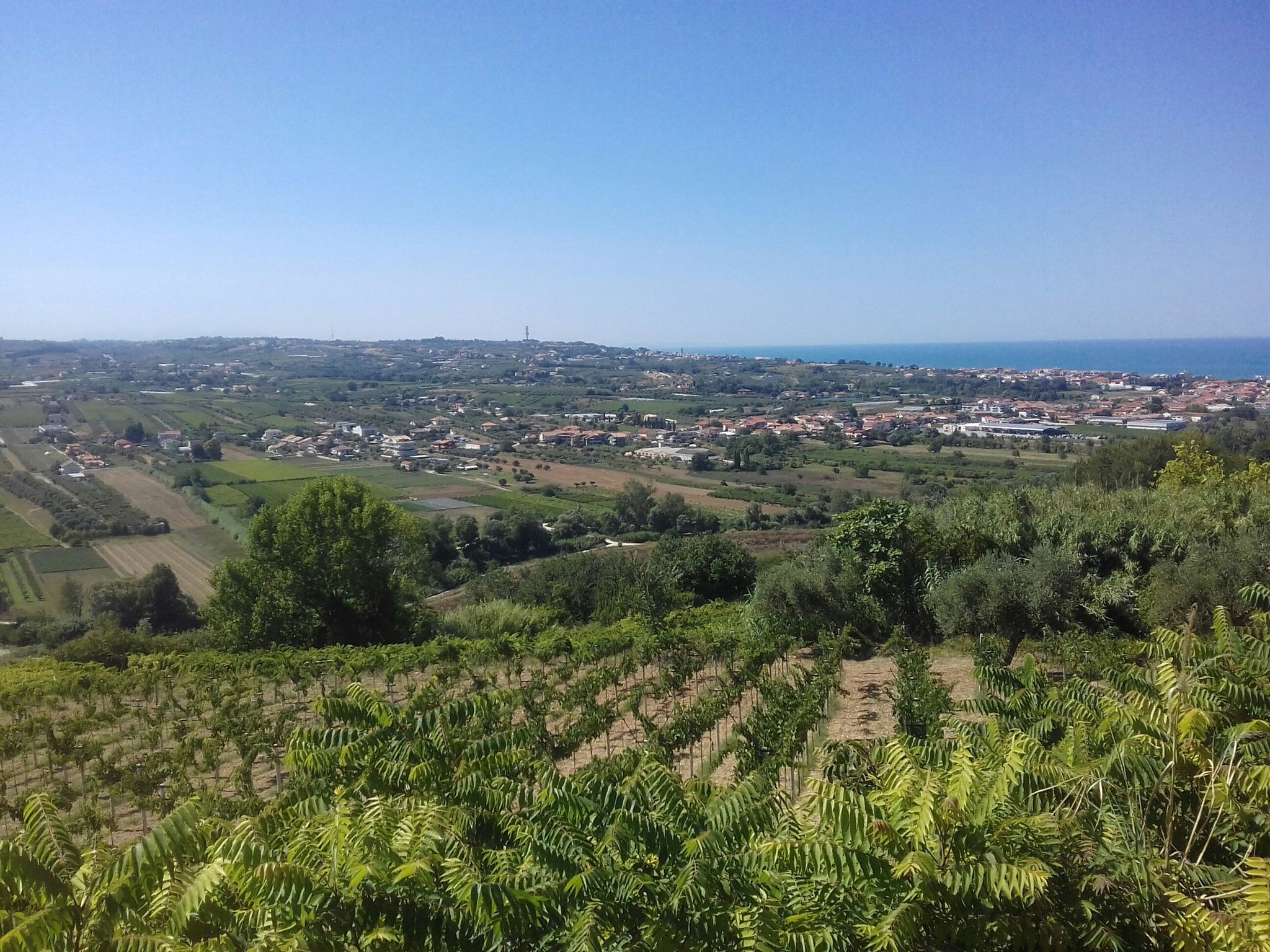 La costa Adriatica