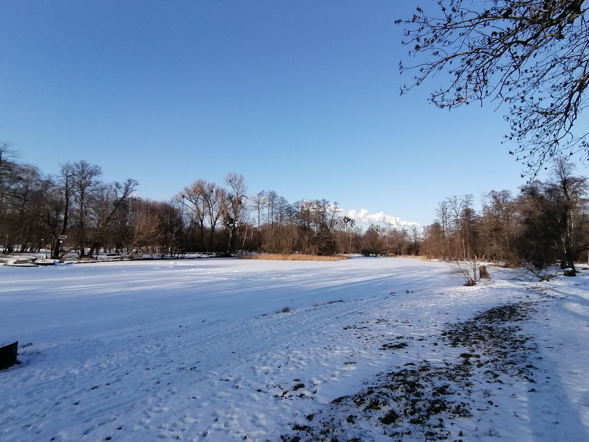 Stawy Młynek na Olechówce