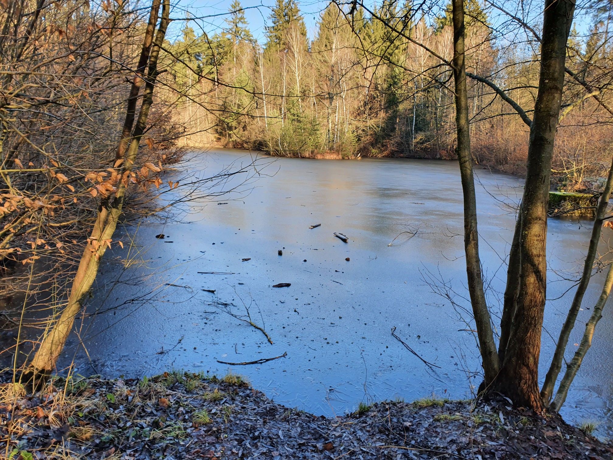 Gefrorener Waldsee vor Mo0sbach