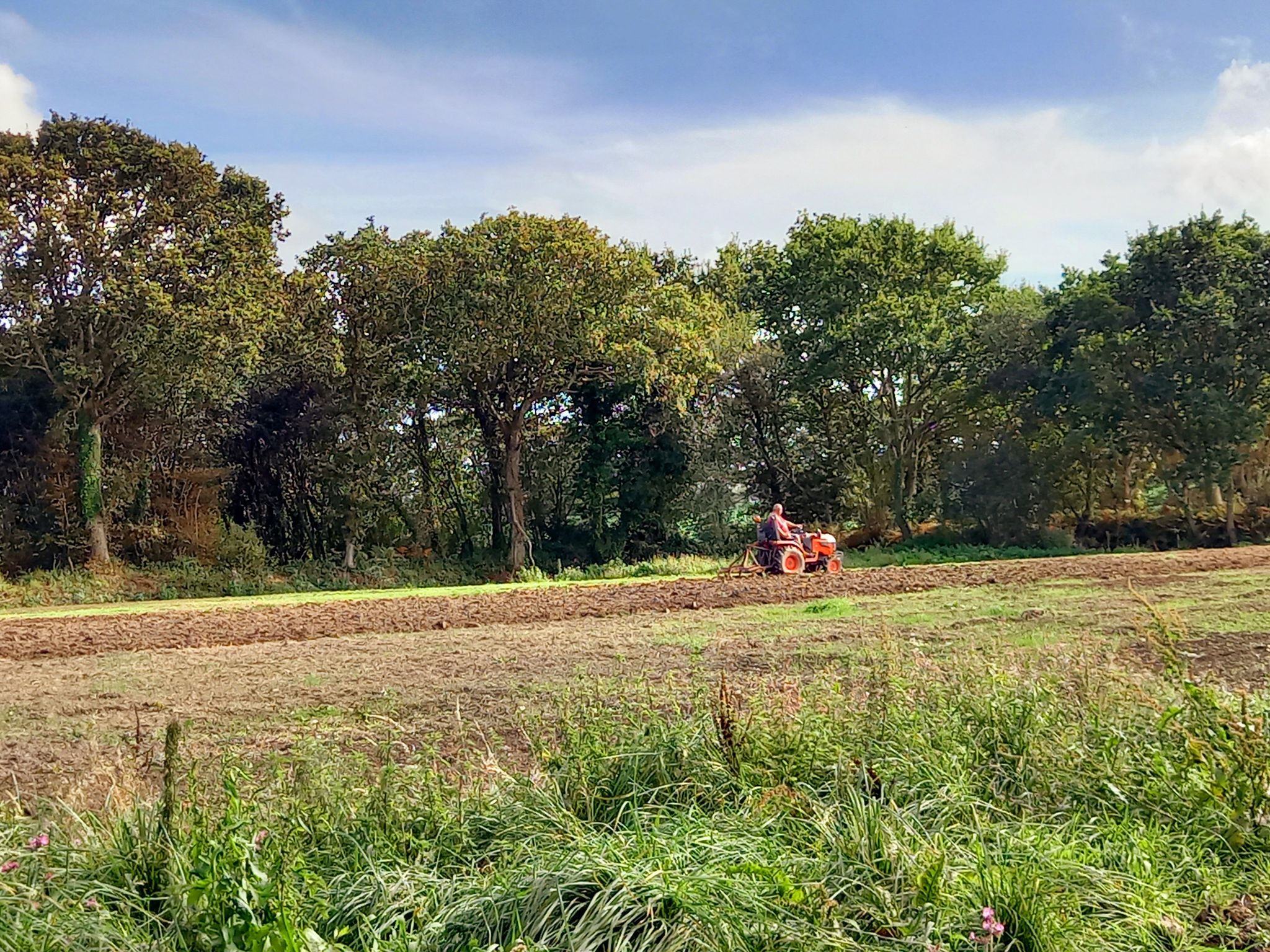 Auch mit "kleinem Gerät" kommt der JUNGbauer auf dem Acker voran 🤣🤣