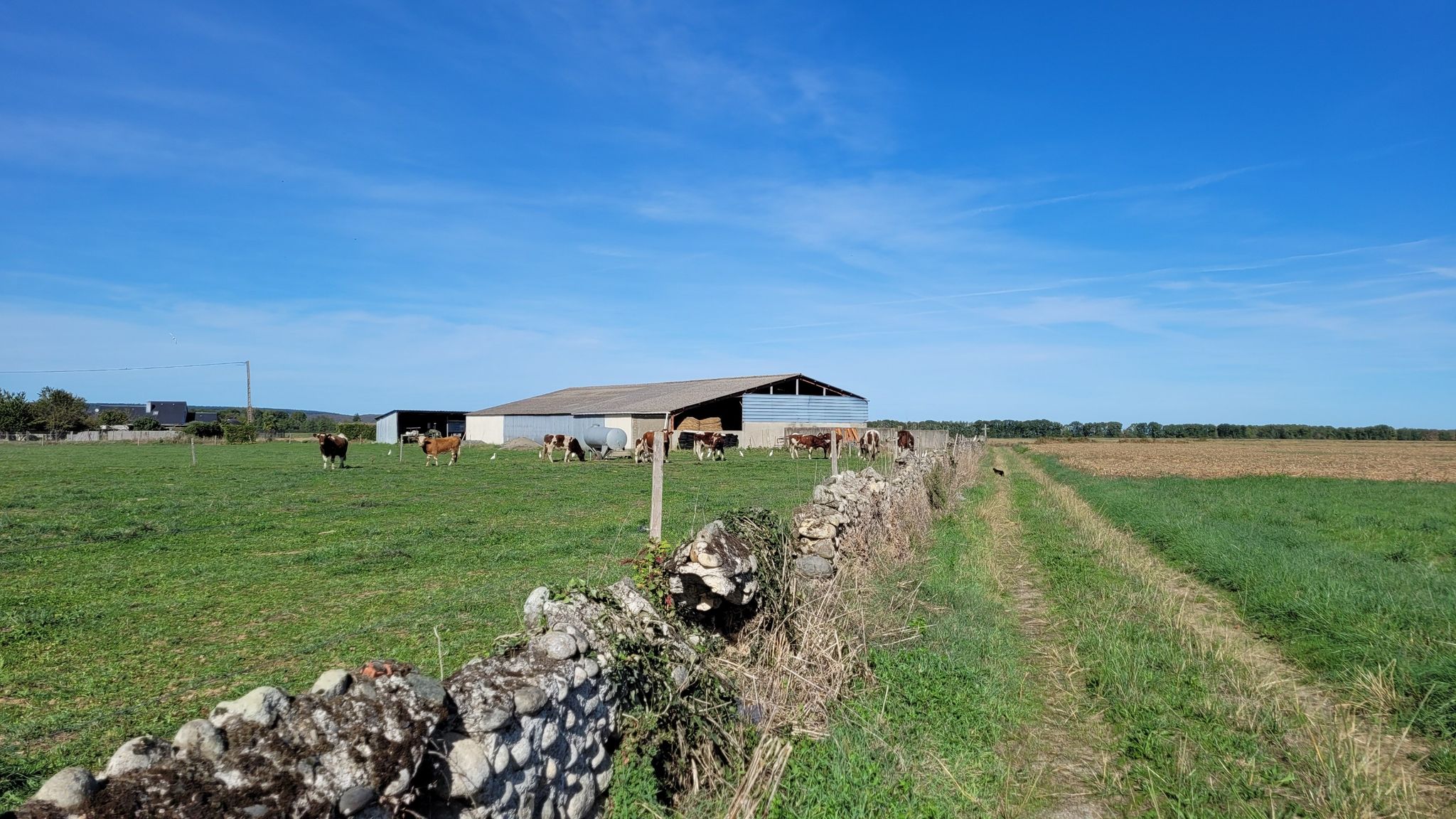 Le plaisir de reprendre un chemin...