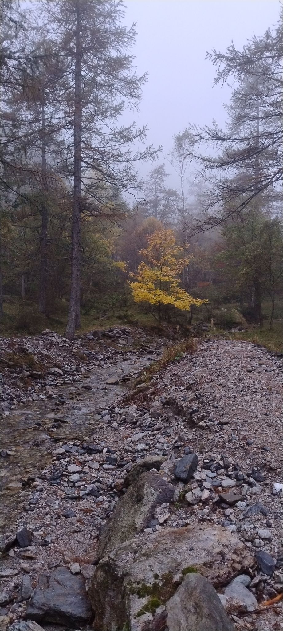 rio clanero