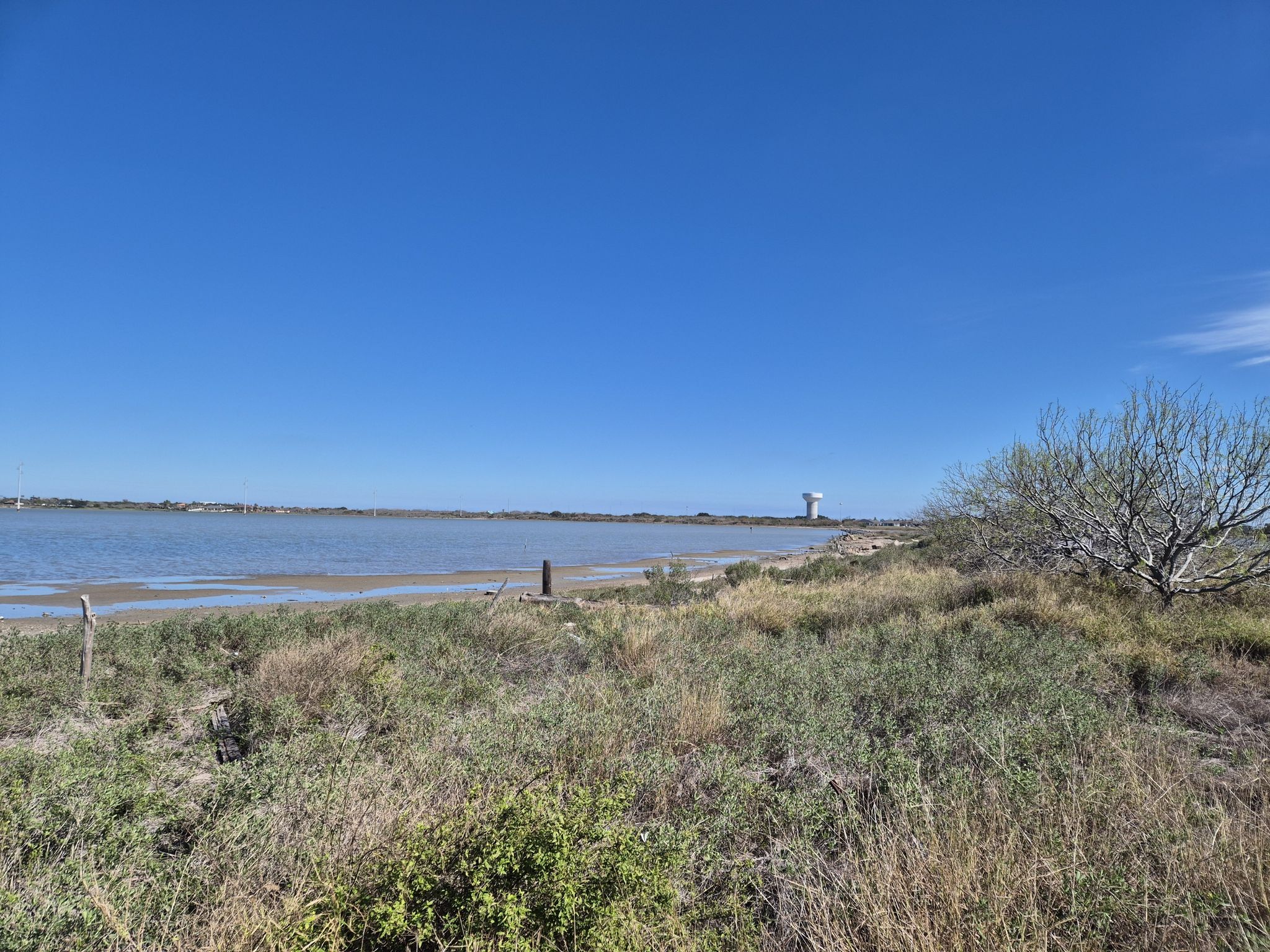 Vast blue water and scrubby shore under a clear, bright sky. - Oso Bay Wetlands Preserve Trail