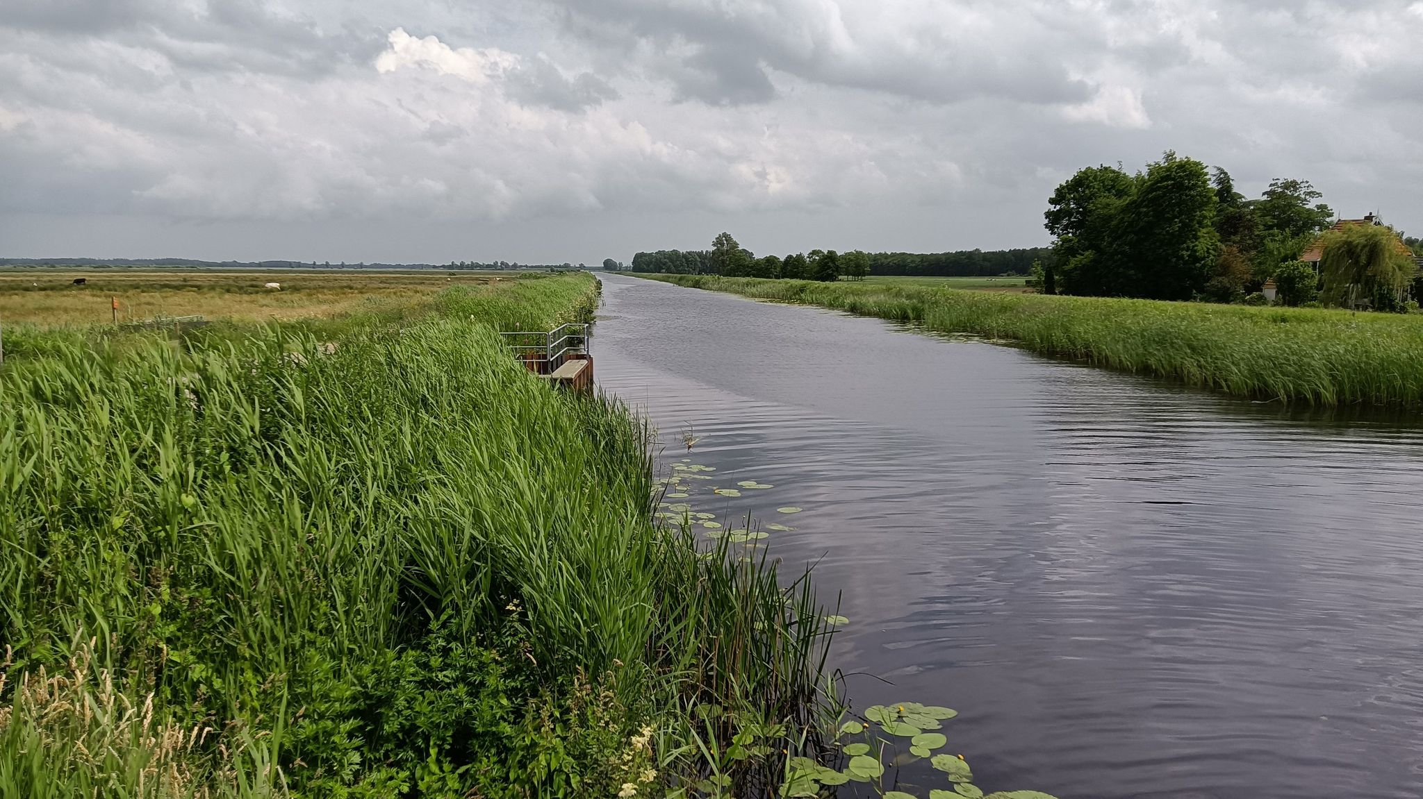 vanaf brug rolbregedyk