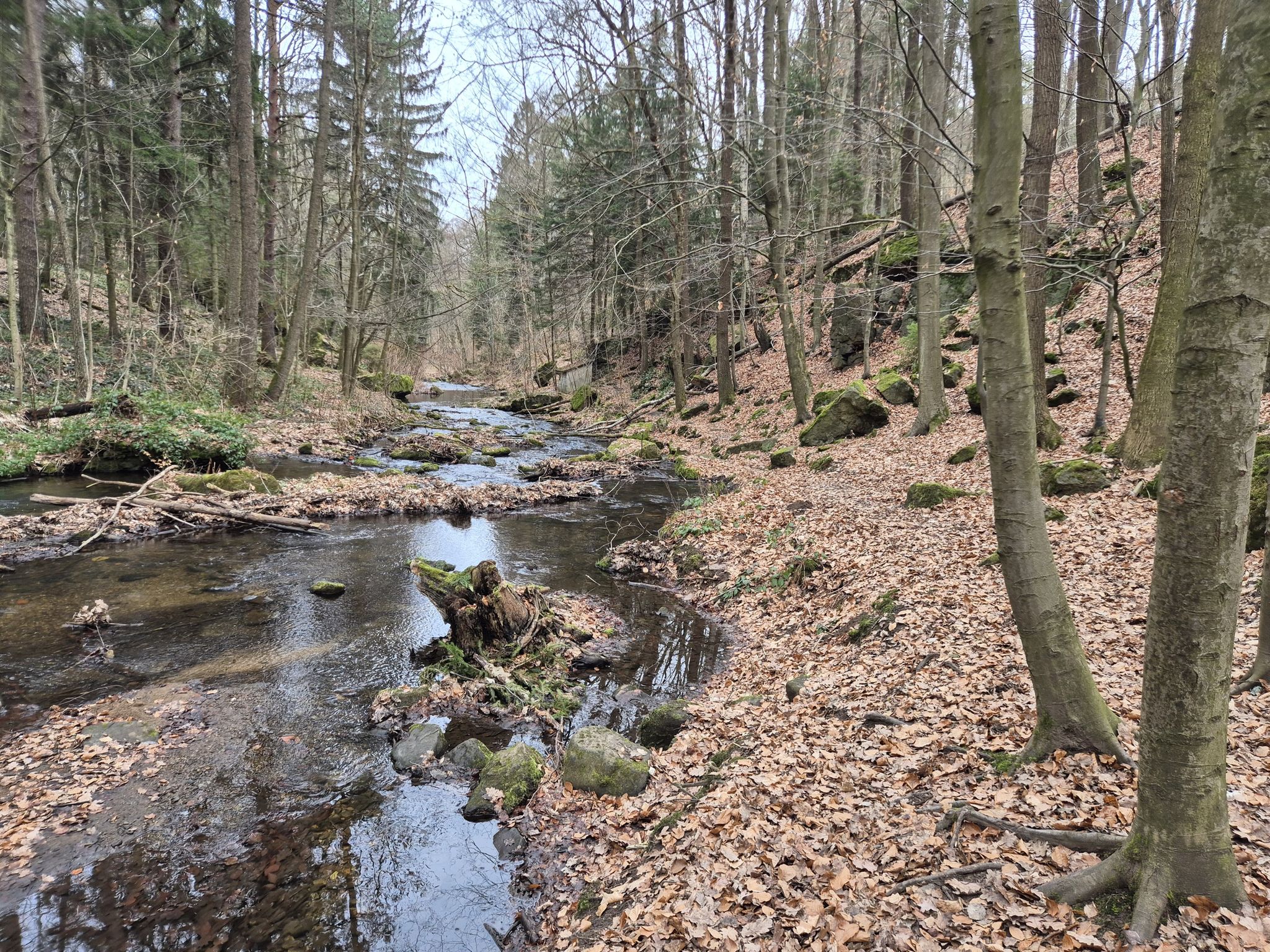 Forellensteig