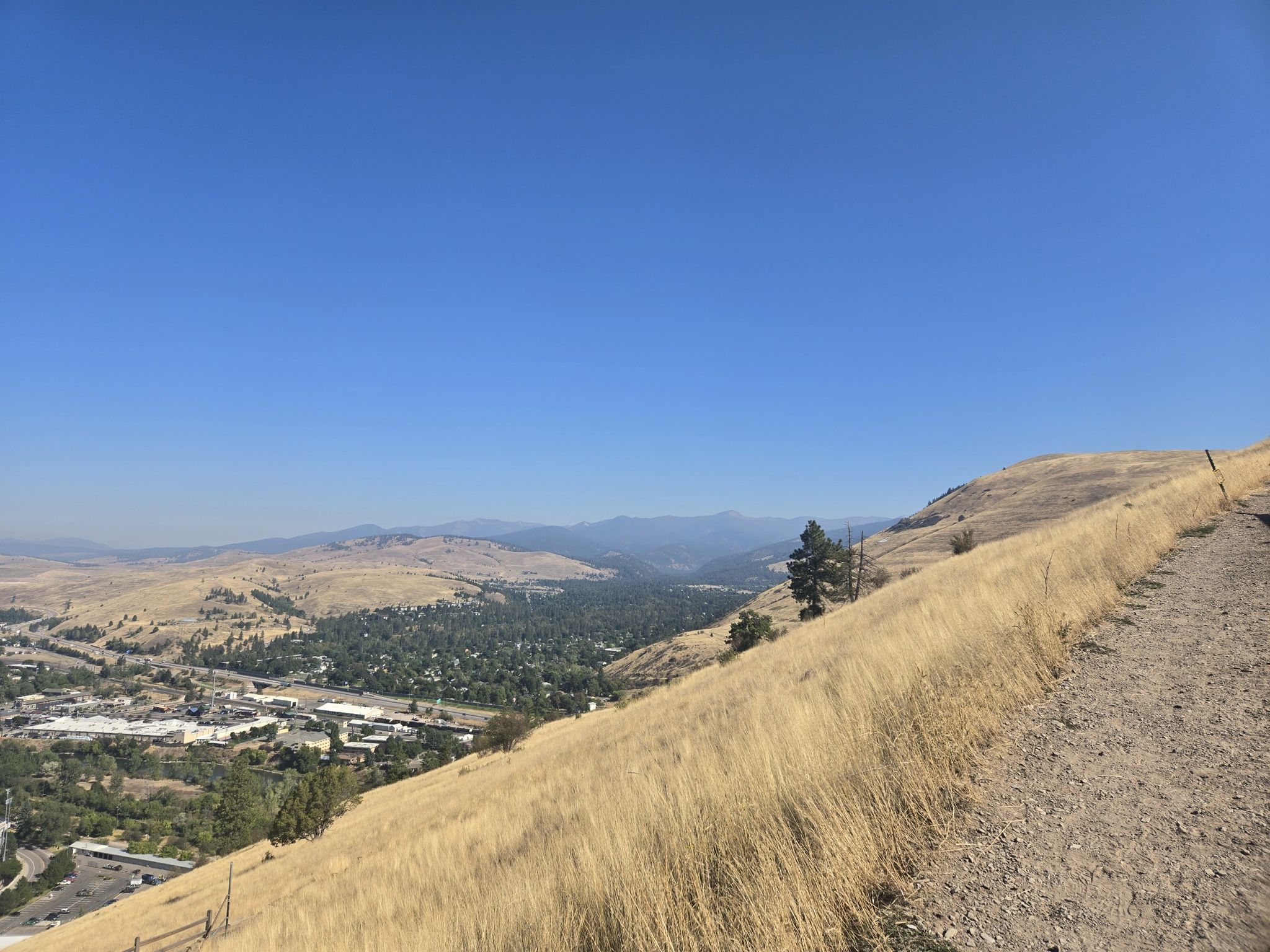 Golden grassy hillside slopes down to a town and distant hazy mountains. - The M Trail on Mount Sentinel loop from Missoula