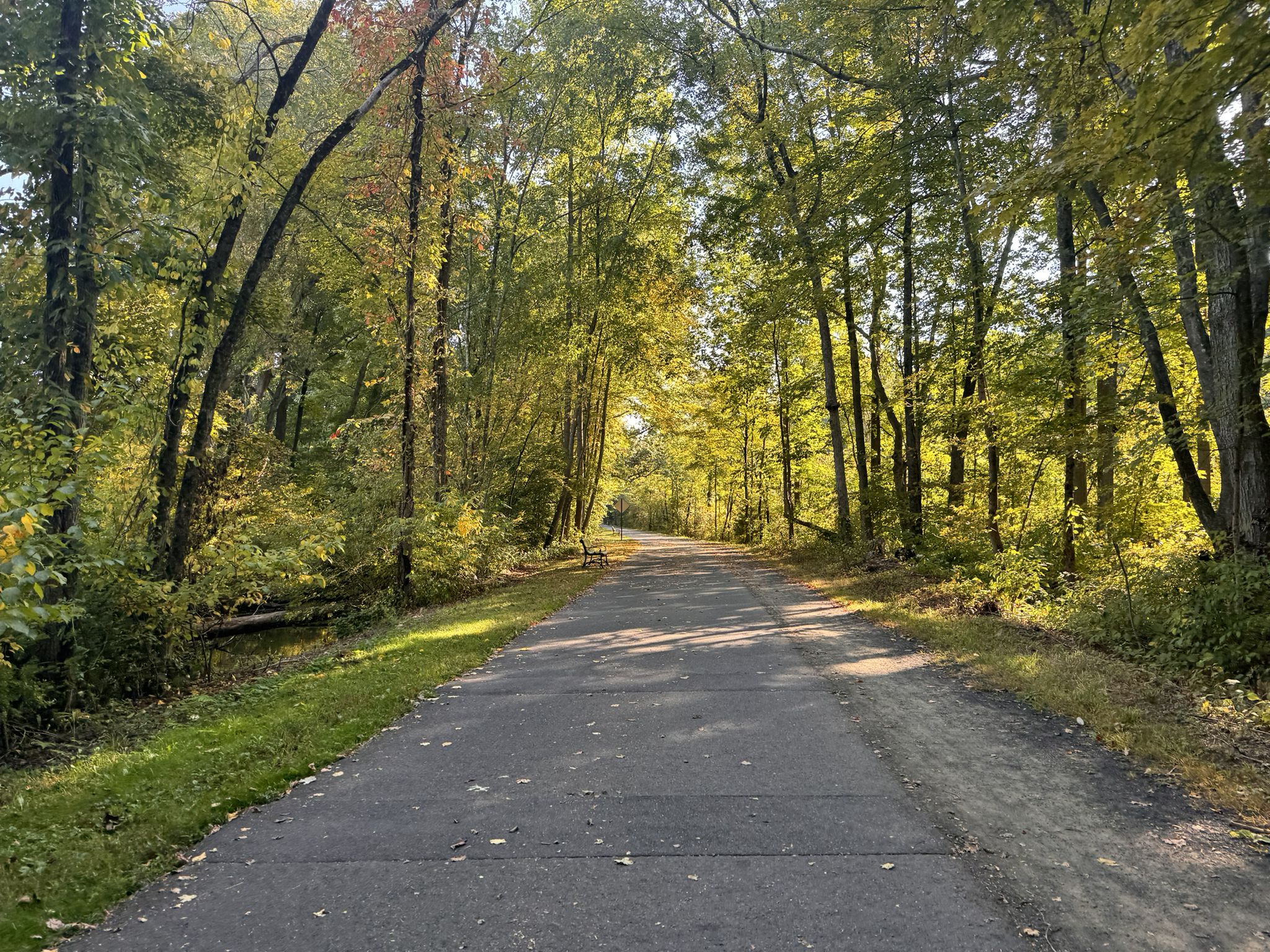 Paved path winding through a forest with vibrant autumn foliage. - Lock Keeper's House loop from Pexto Field