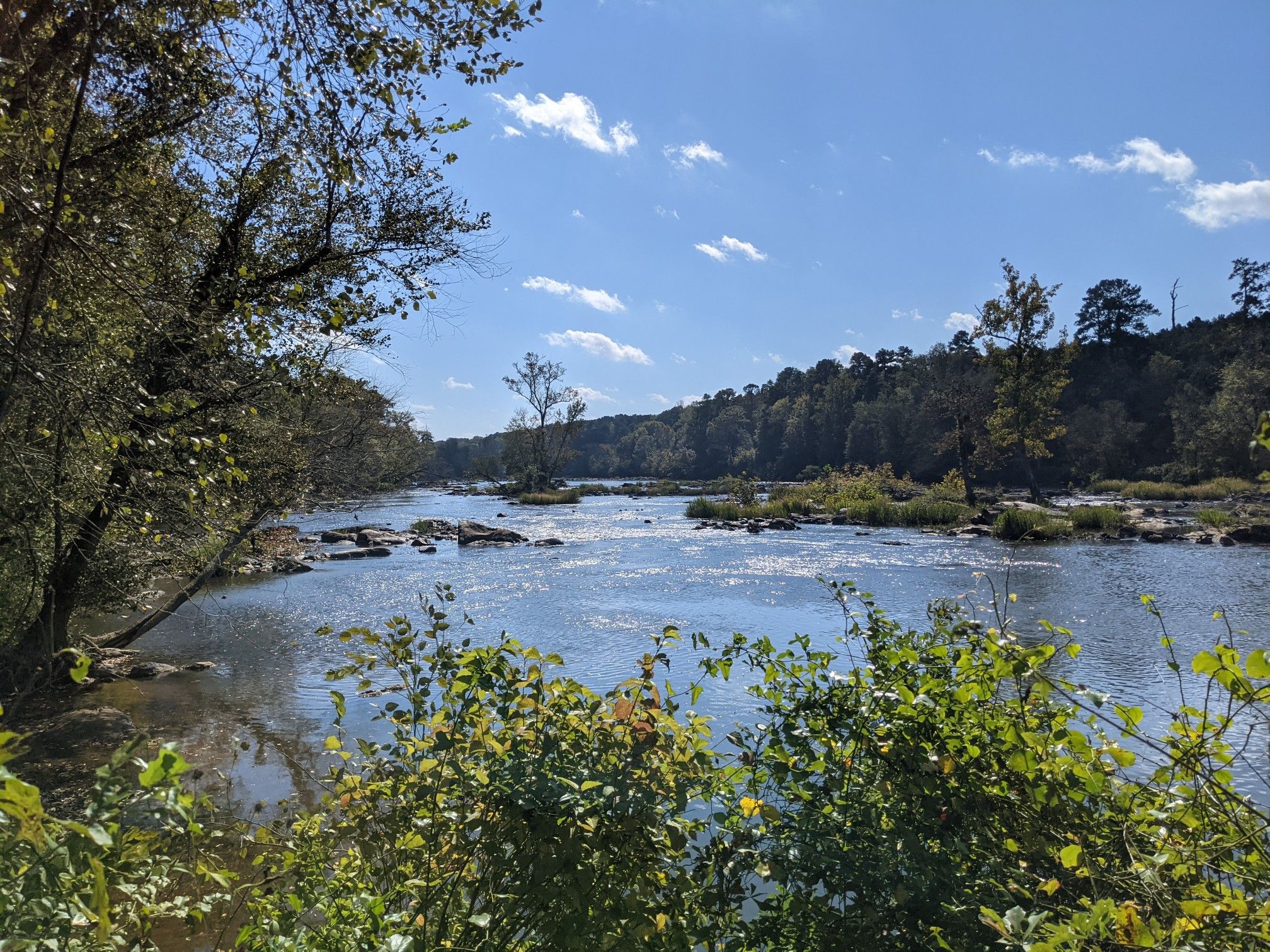 Sunny river landscape with green trees, rocky rapids, and a clear blue sky. - Lower Haw River Trail