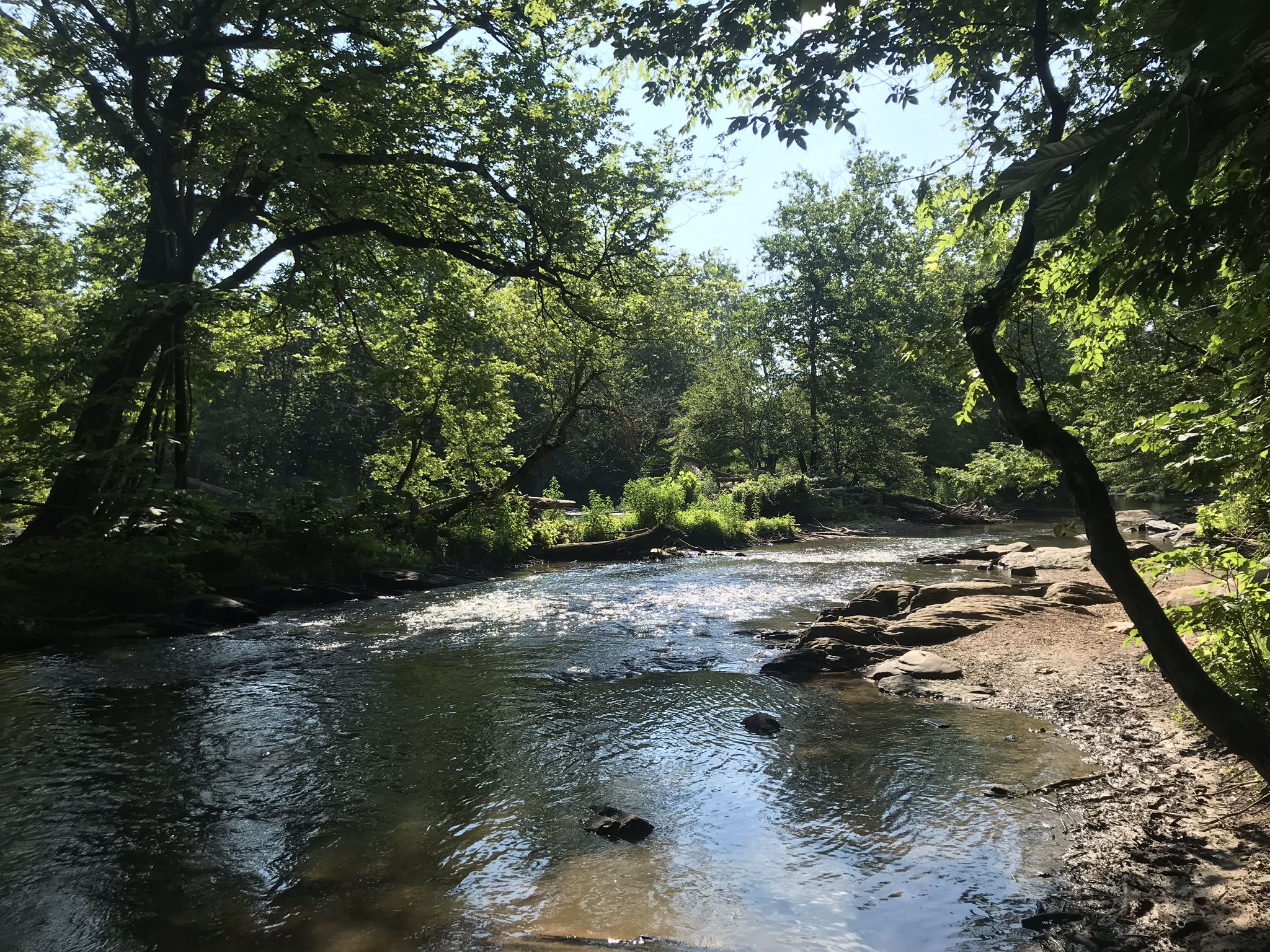 A sunlit river flows through a dense, green forest with dappled light. - Potomac Heritage and Seneca Park Loop