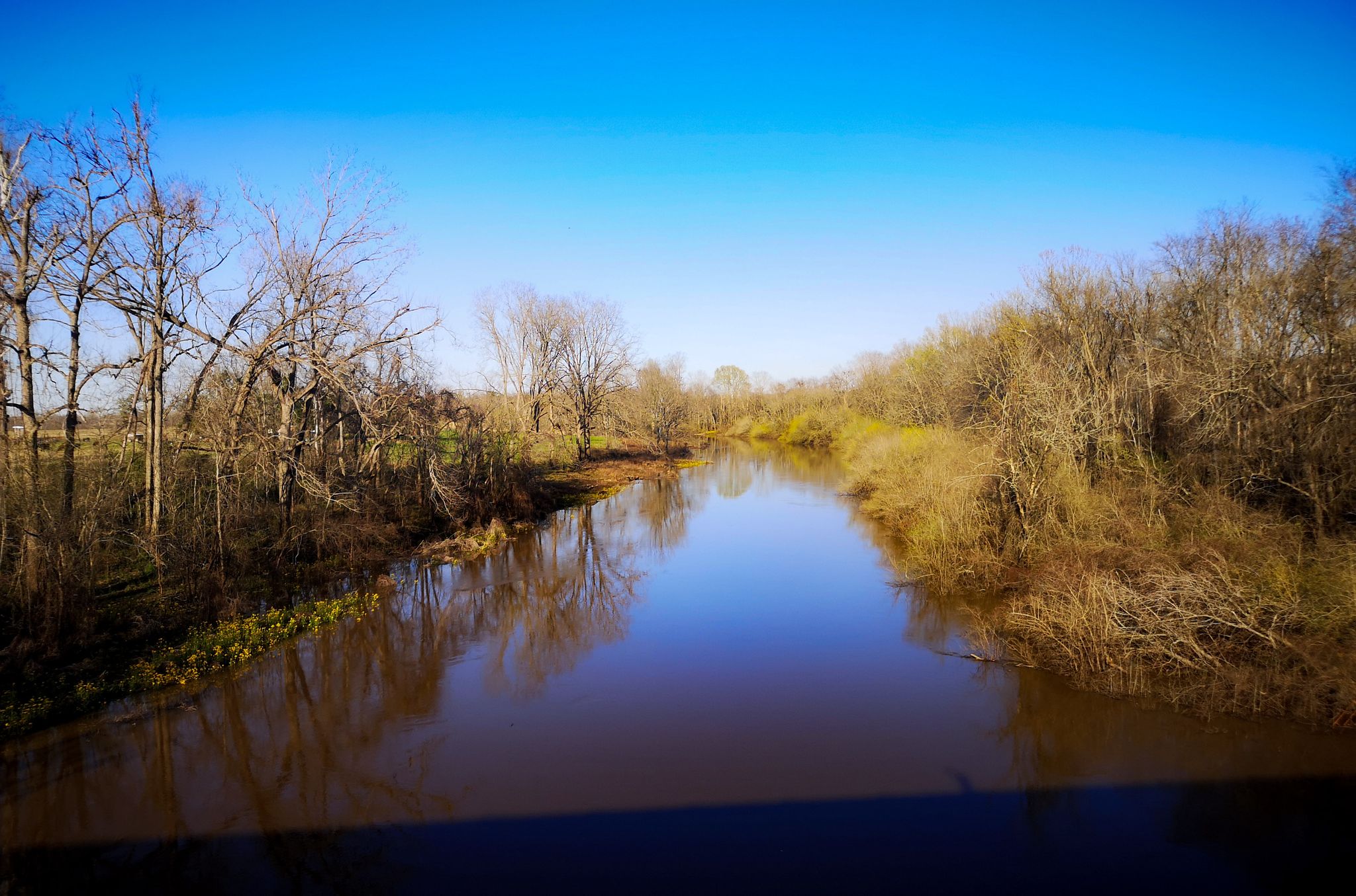 Calm river reflecting a clear blue sky, surrounded by bare trees. - Lake Rodemacher loop