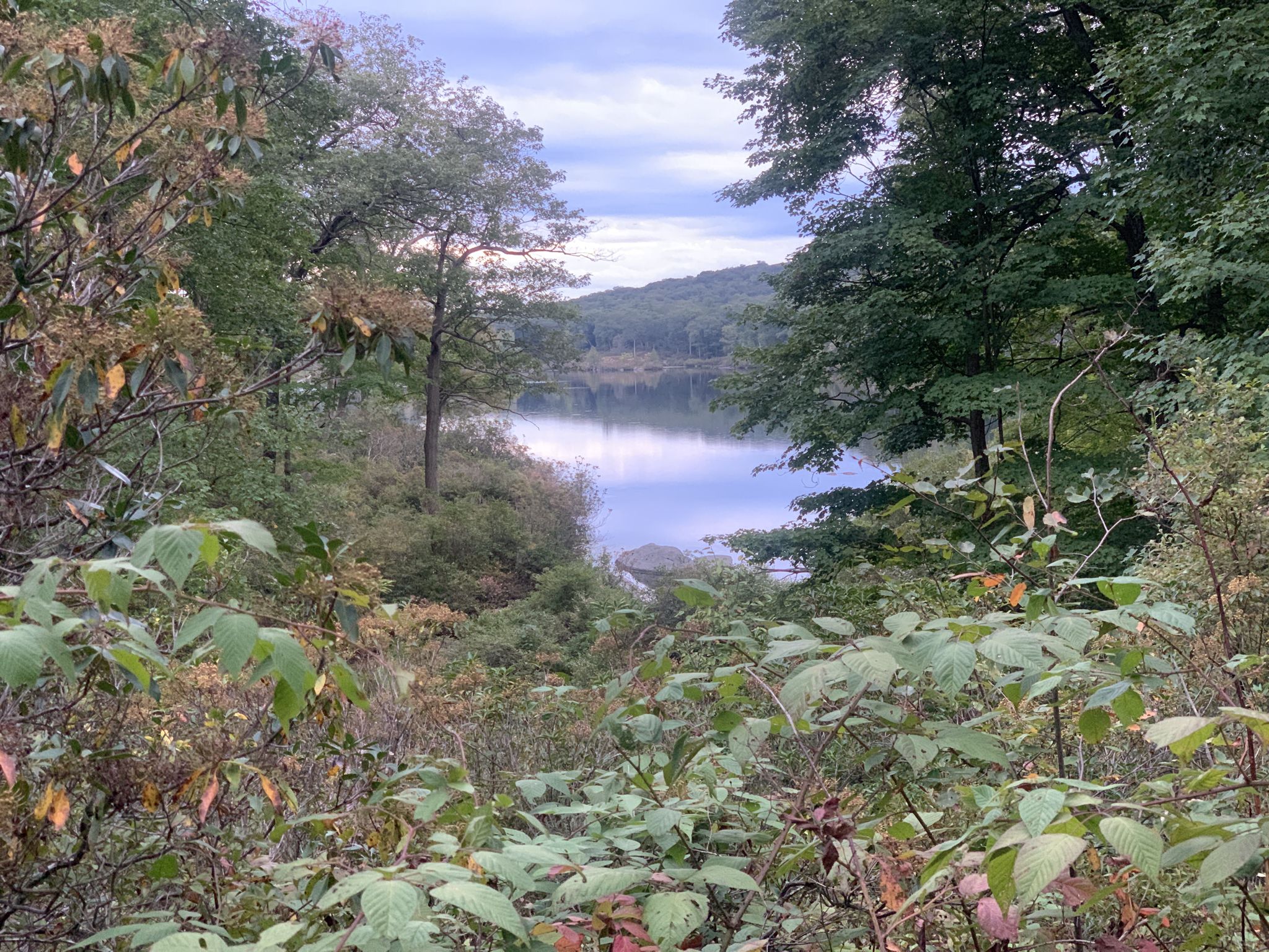 Lake visible through dense green and reddish autumn forest foliage. - Parker Cabin Mountain – Claudius Smith's Den loop from Tuxedo