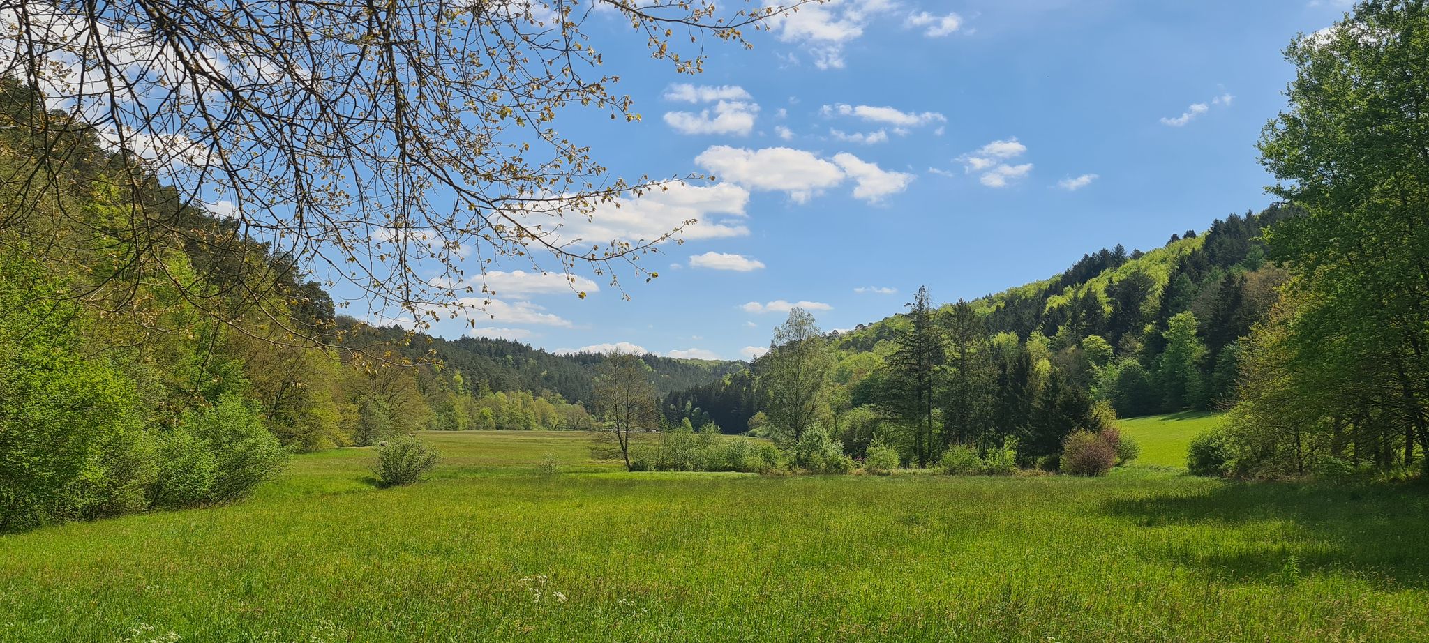 Romantisches Schwarzbachtal