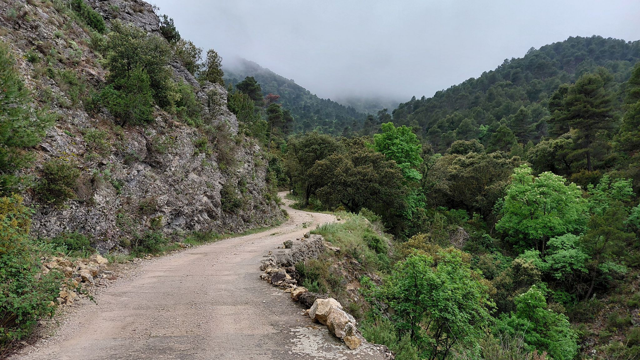 Uno de los tramos pista del parque FONT ROTJA