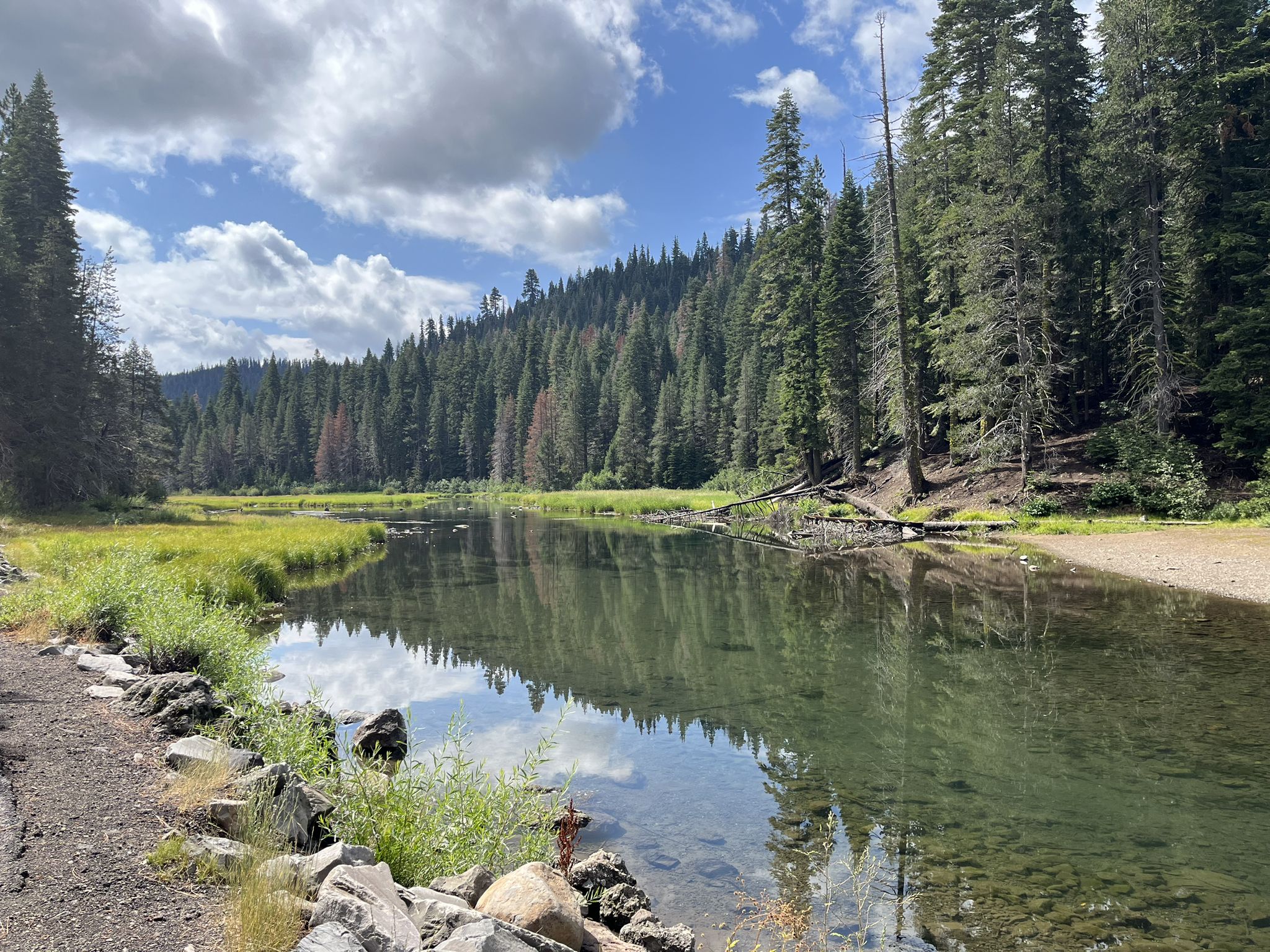 A calm river reflects a partly cloudy sky, surrounded by dense green forest. - Tahoe City Rim Trail Loop