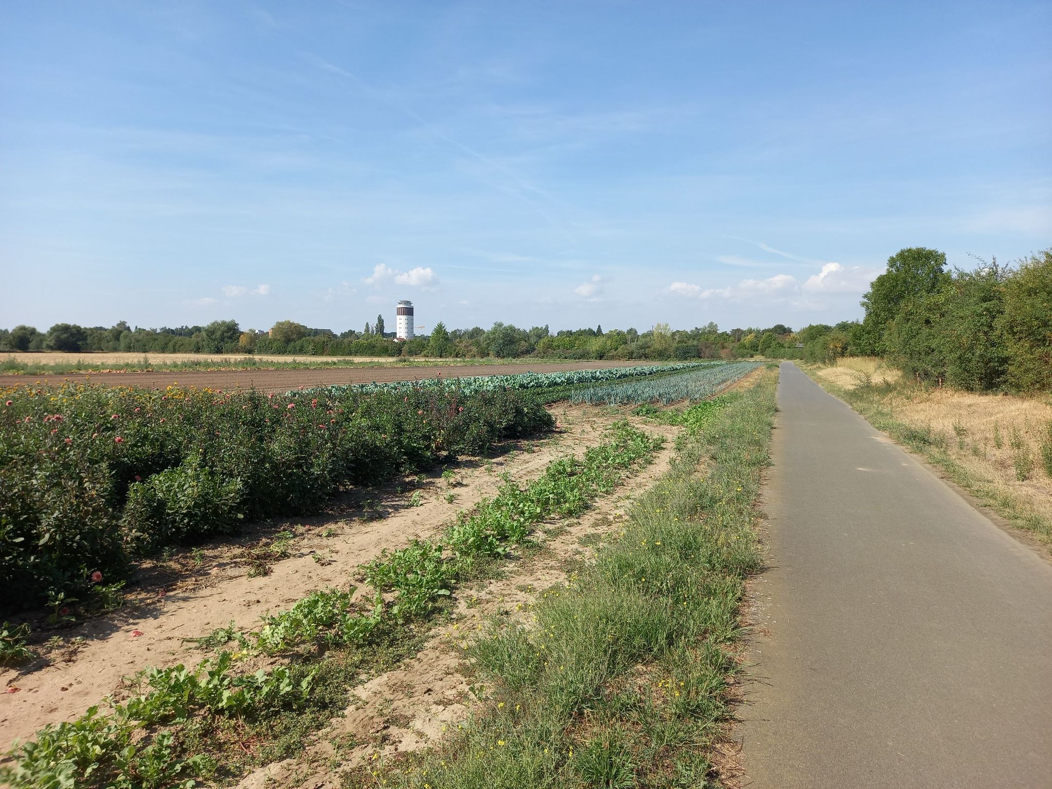 Der Wasserturm von Groß-Gerau gesehen vom Radweg nach Klein-Gerau