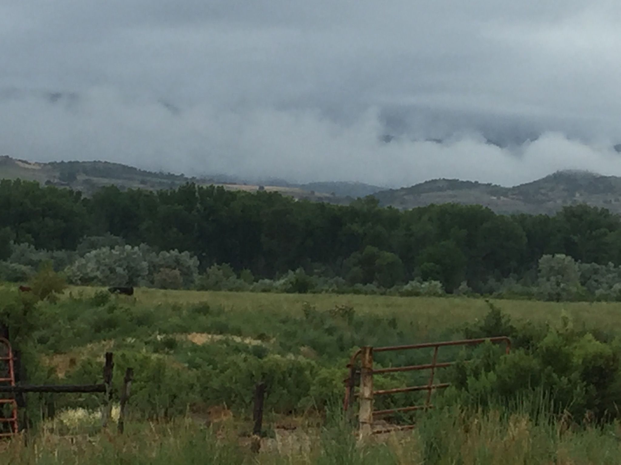 A green field with a fence under a cloudy sky, misty mountains. - Dry Gulch Road loop