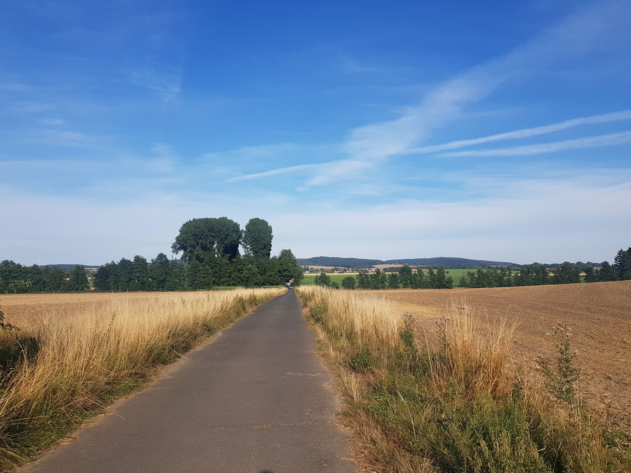 Betonweg bei Veltheim leider sehr ruppig