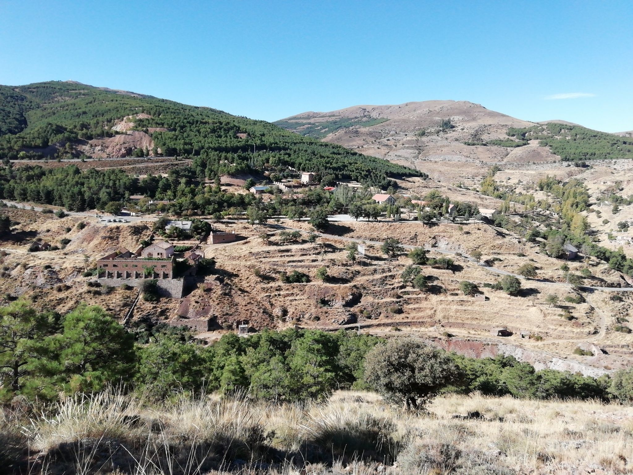 Las menas
