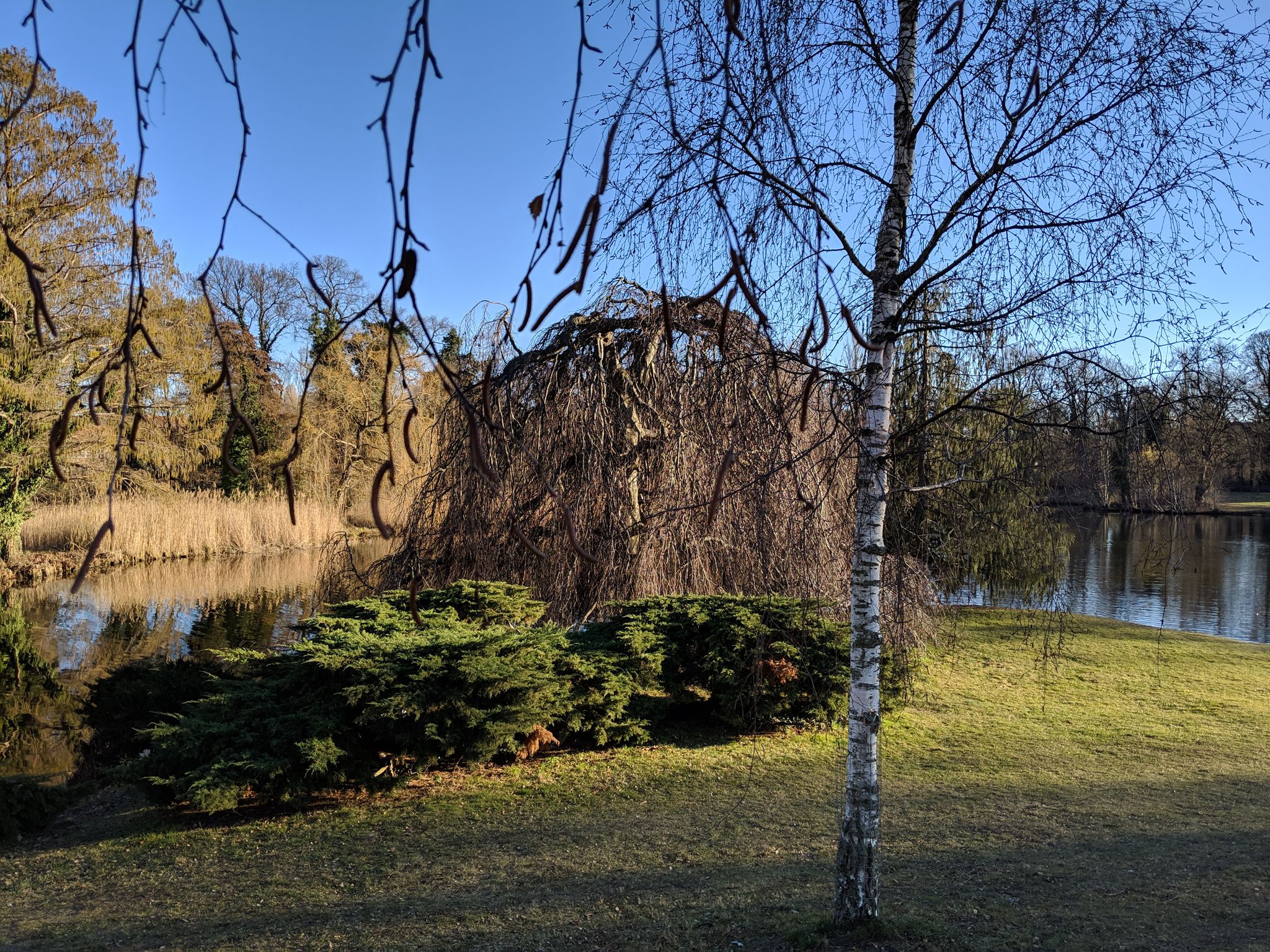 Potsdam | Park Sanssouci | Maschinenteich