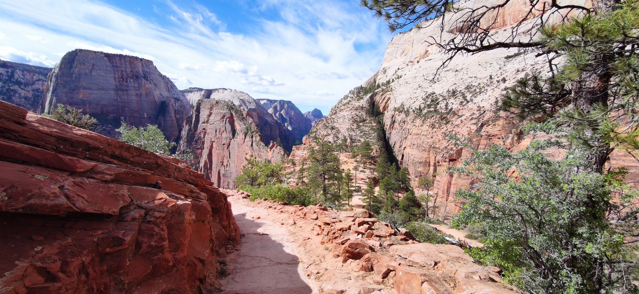 Dirt path winding between steep red and white canyon walls. - Angels Landing Overlook – Angels Landing loop from Zion Canyon