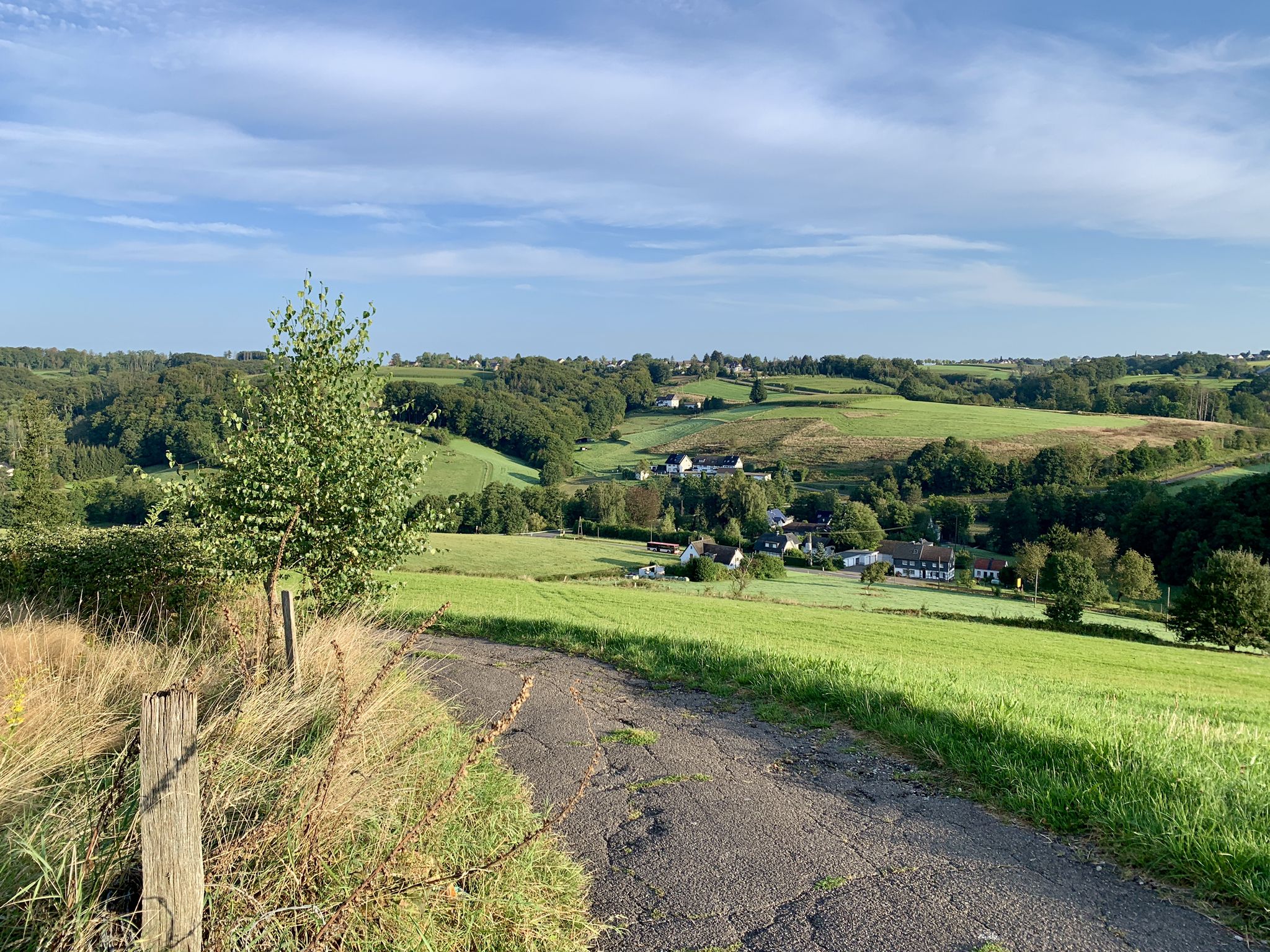 Blick vom Panorama-Weg zwischen Scheuren und Eikamp