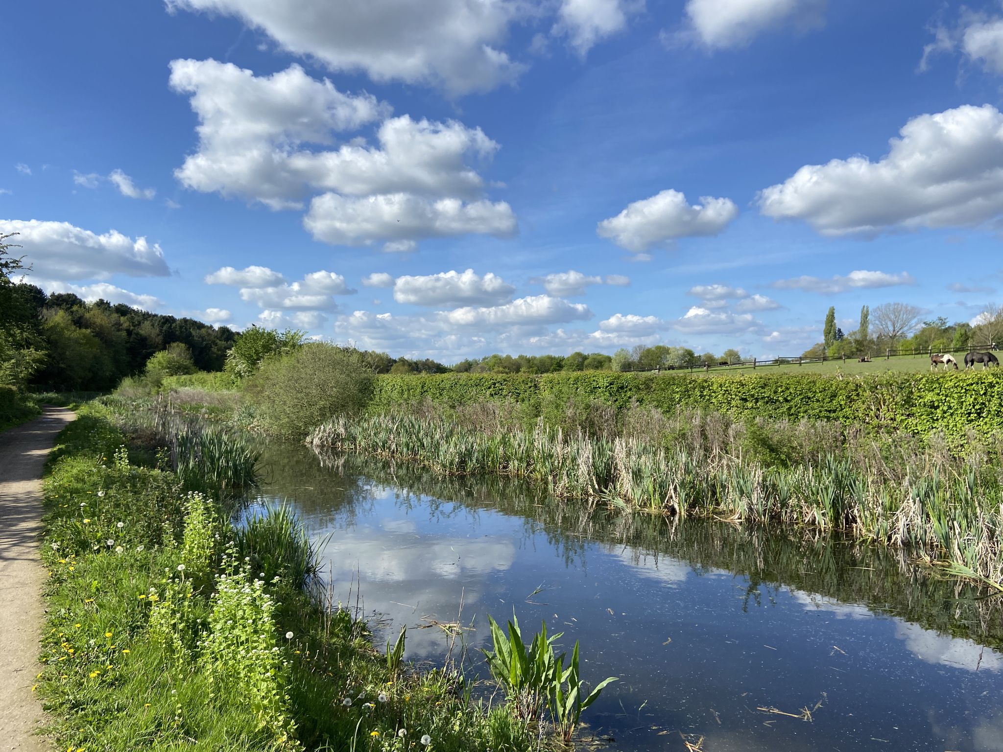 Ilkeston to Bramcote Hills Nature Reserve loop — Erewash Valley Trail ...